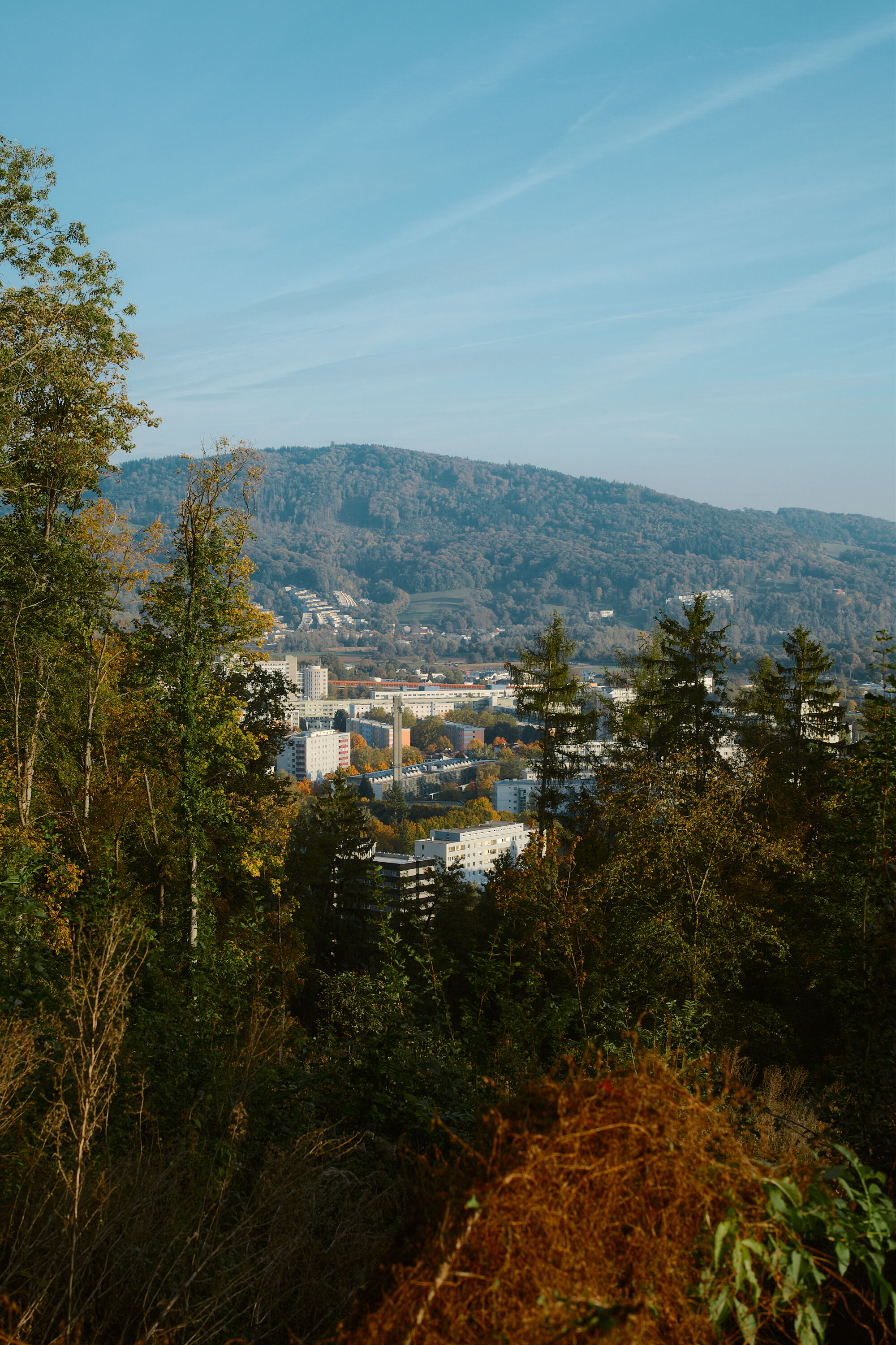 LEICA M11 D L1002024