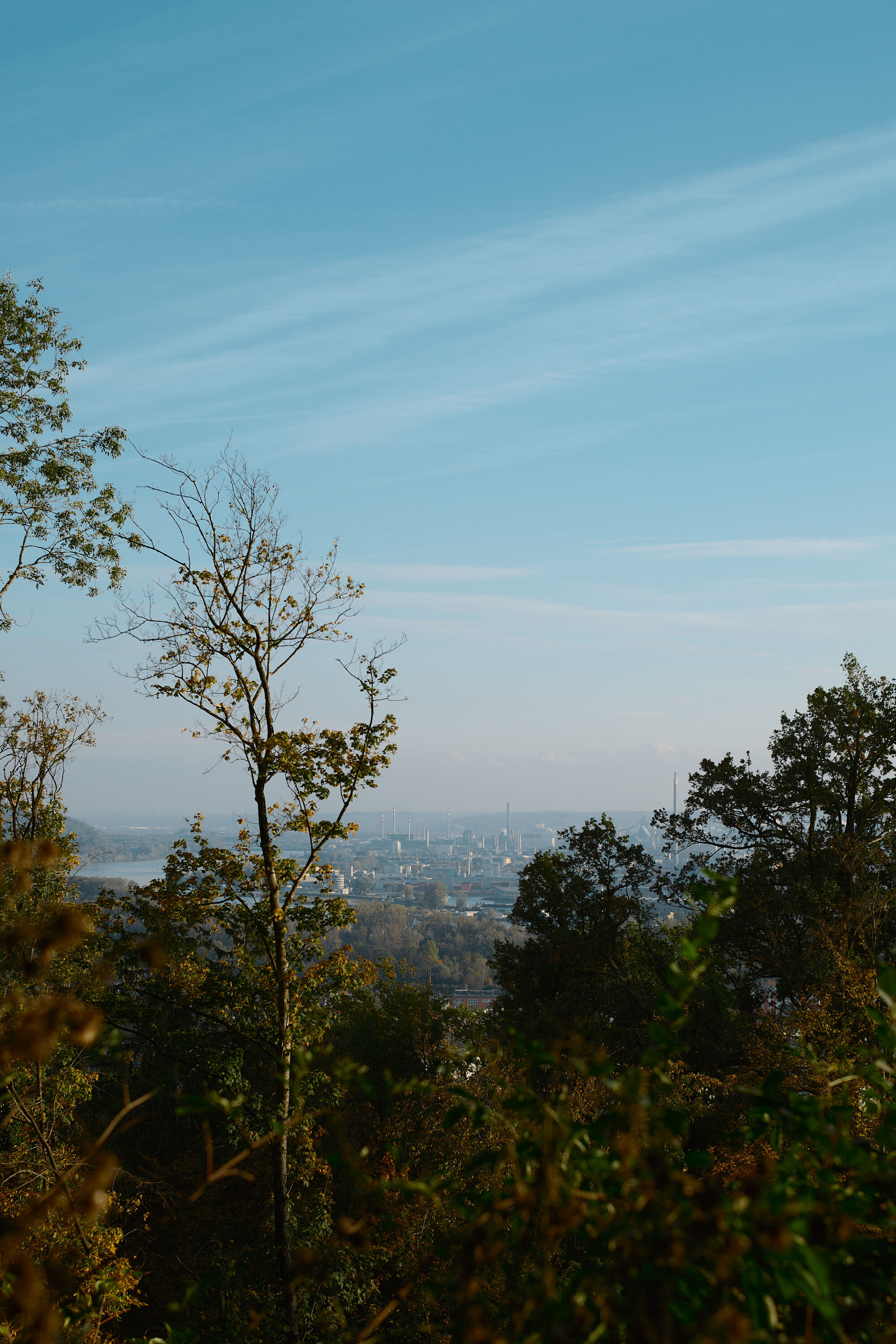 LEICA M11 D L1002026