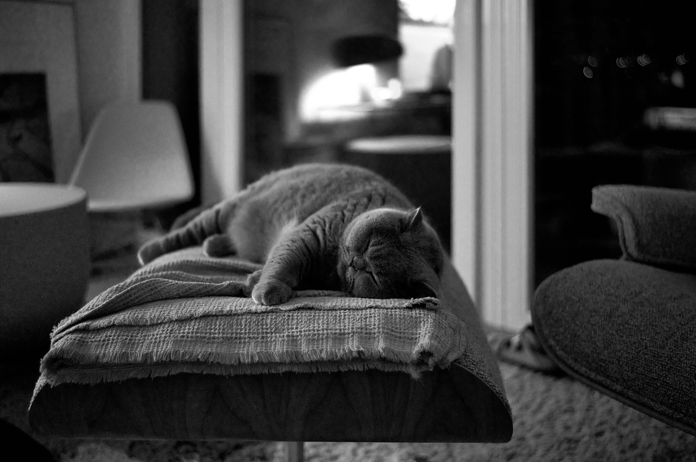 LEICA M11 P L1005319