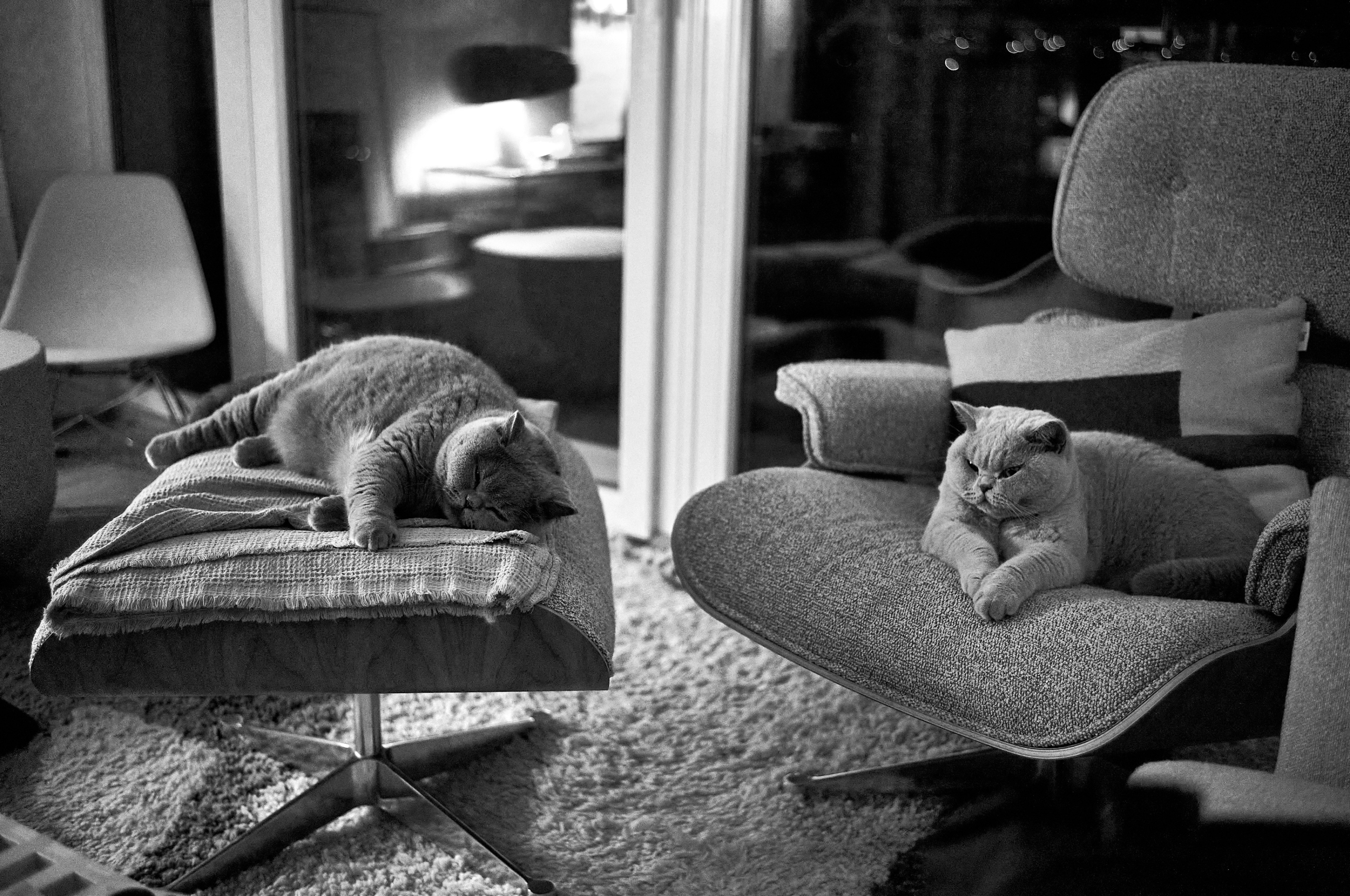 LEICA M11 P L1005328