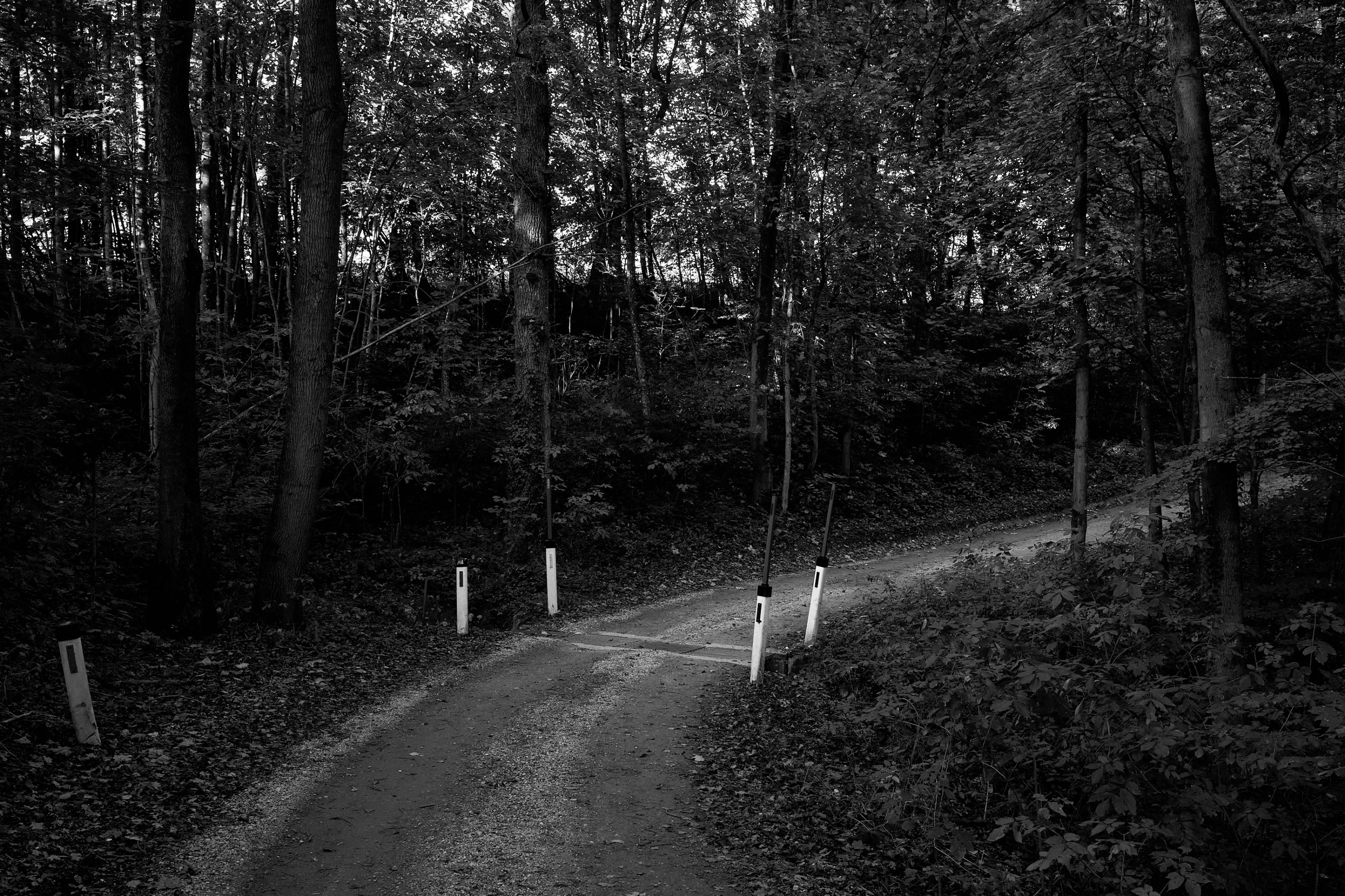 LEICA M11 P L1005339