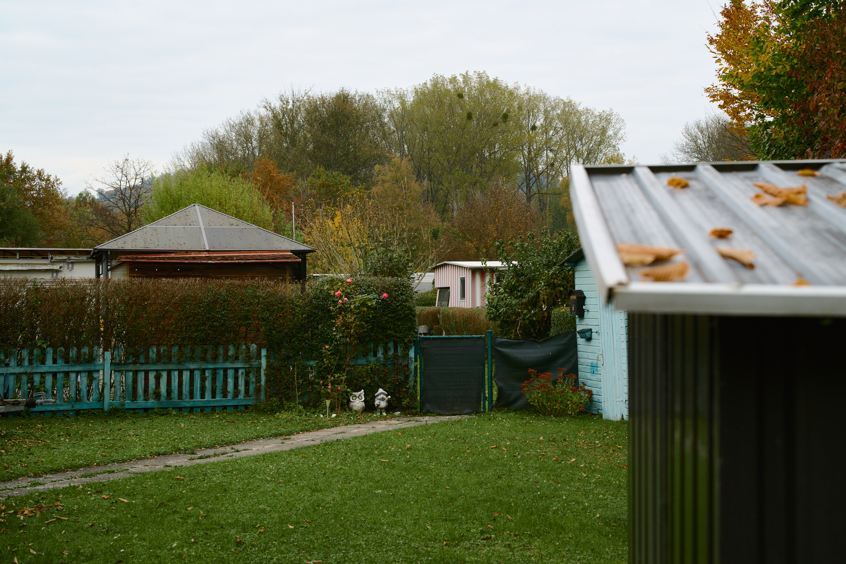 LEICA M11 P L1005400