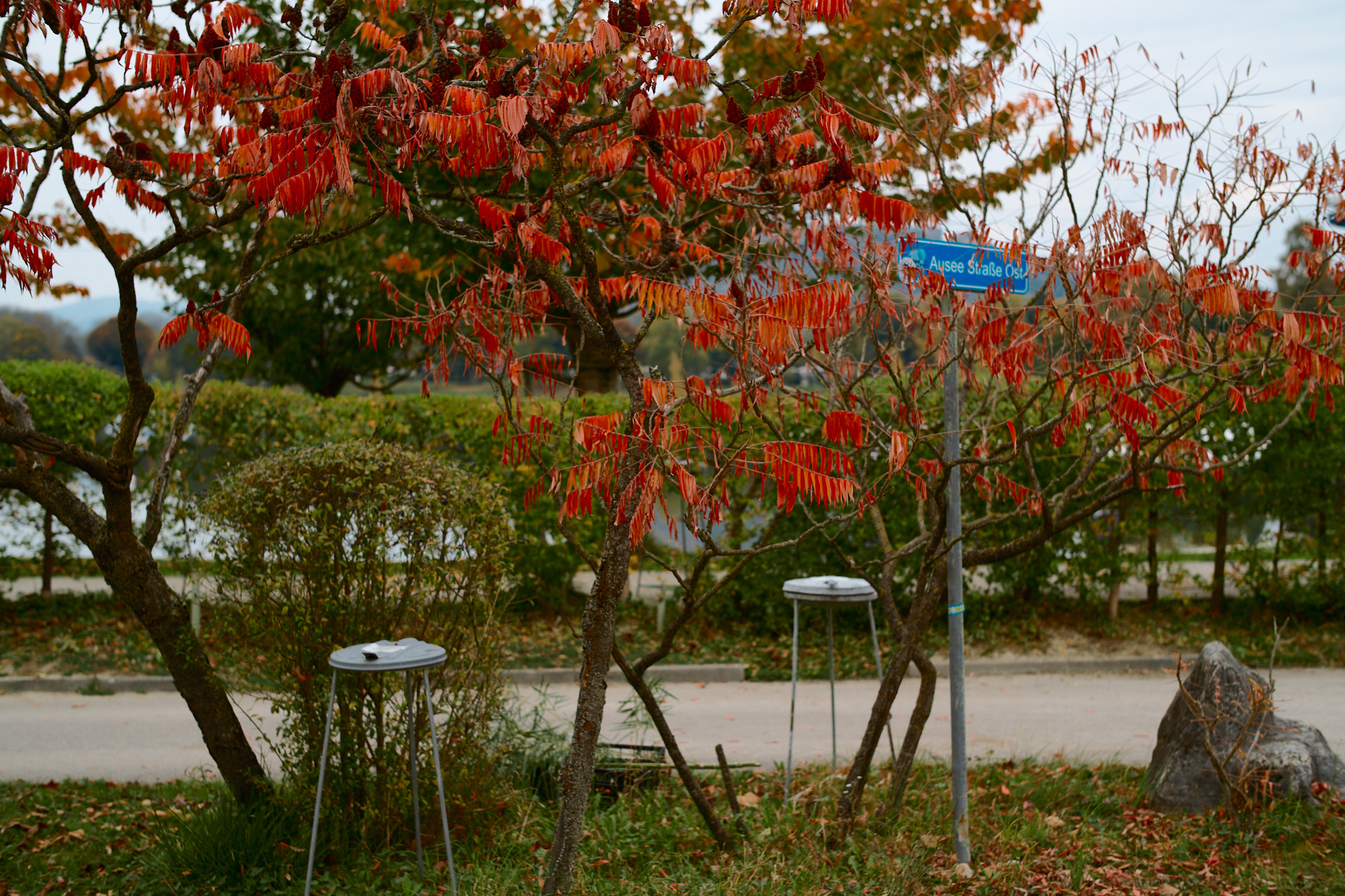 LEICA M11 P L1005434