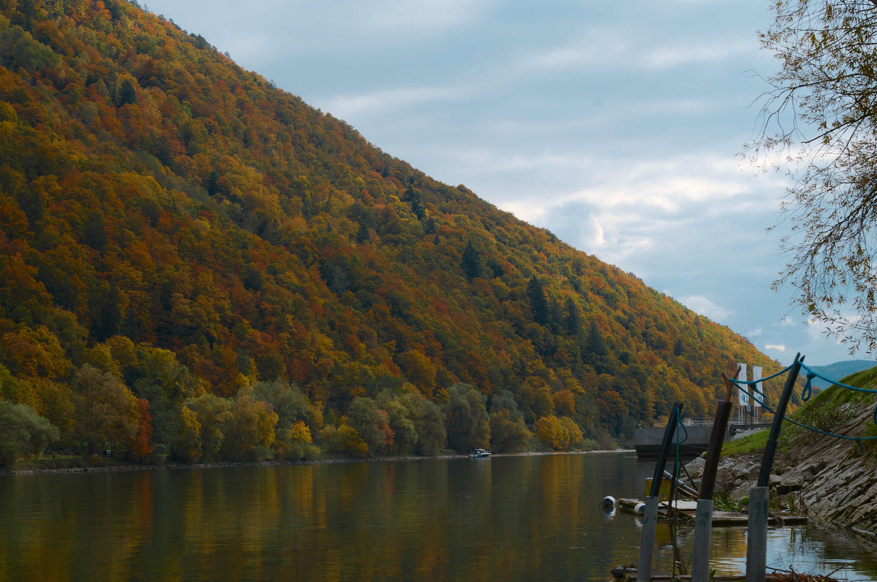 LEICA M11 P L1005439