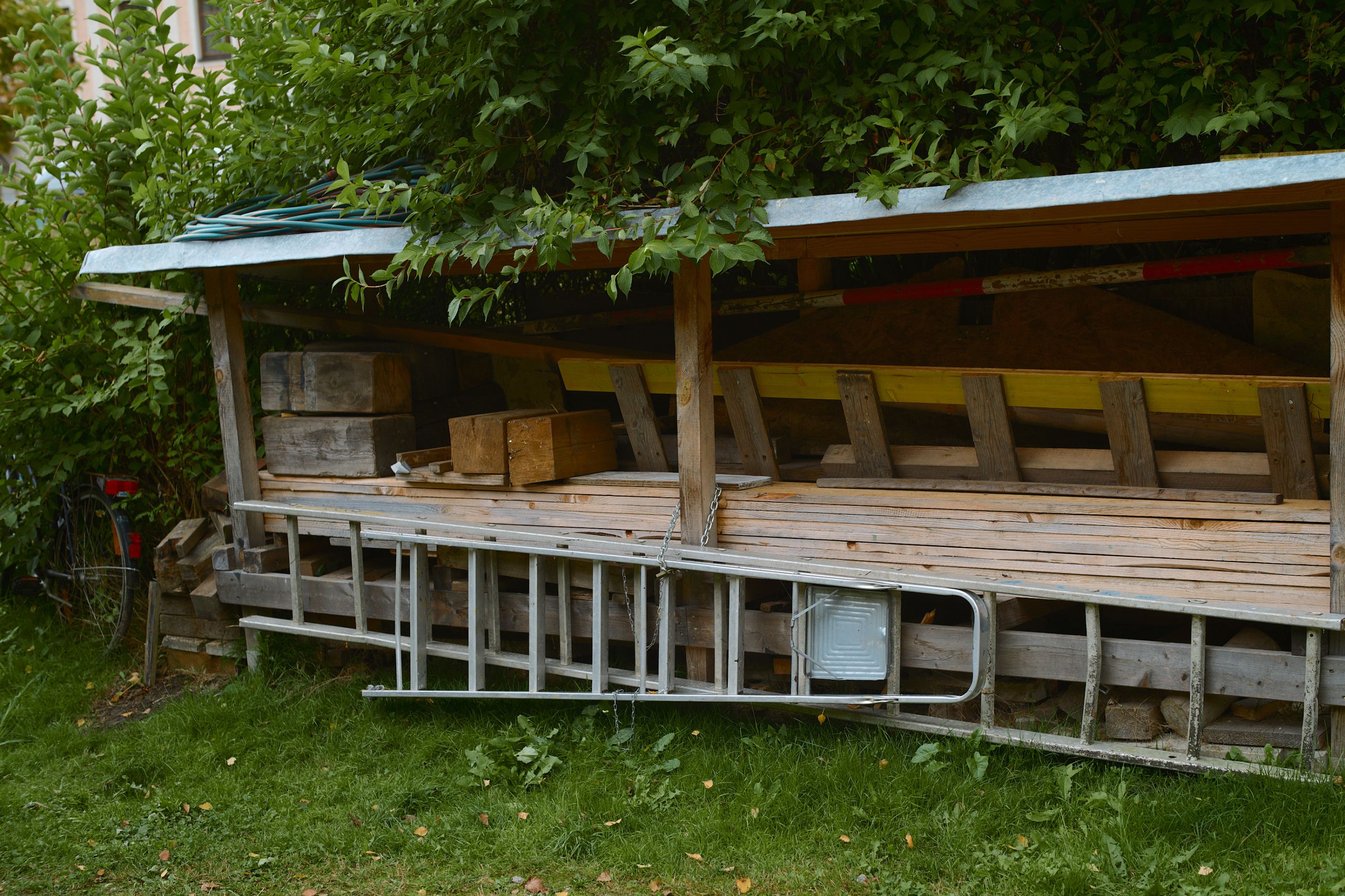 LEICA M11 P L1005456