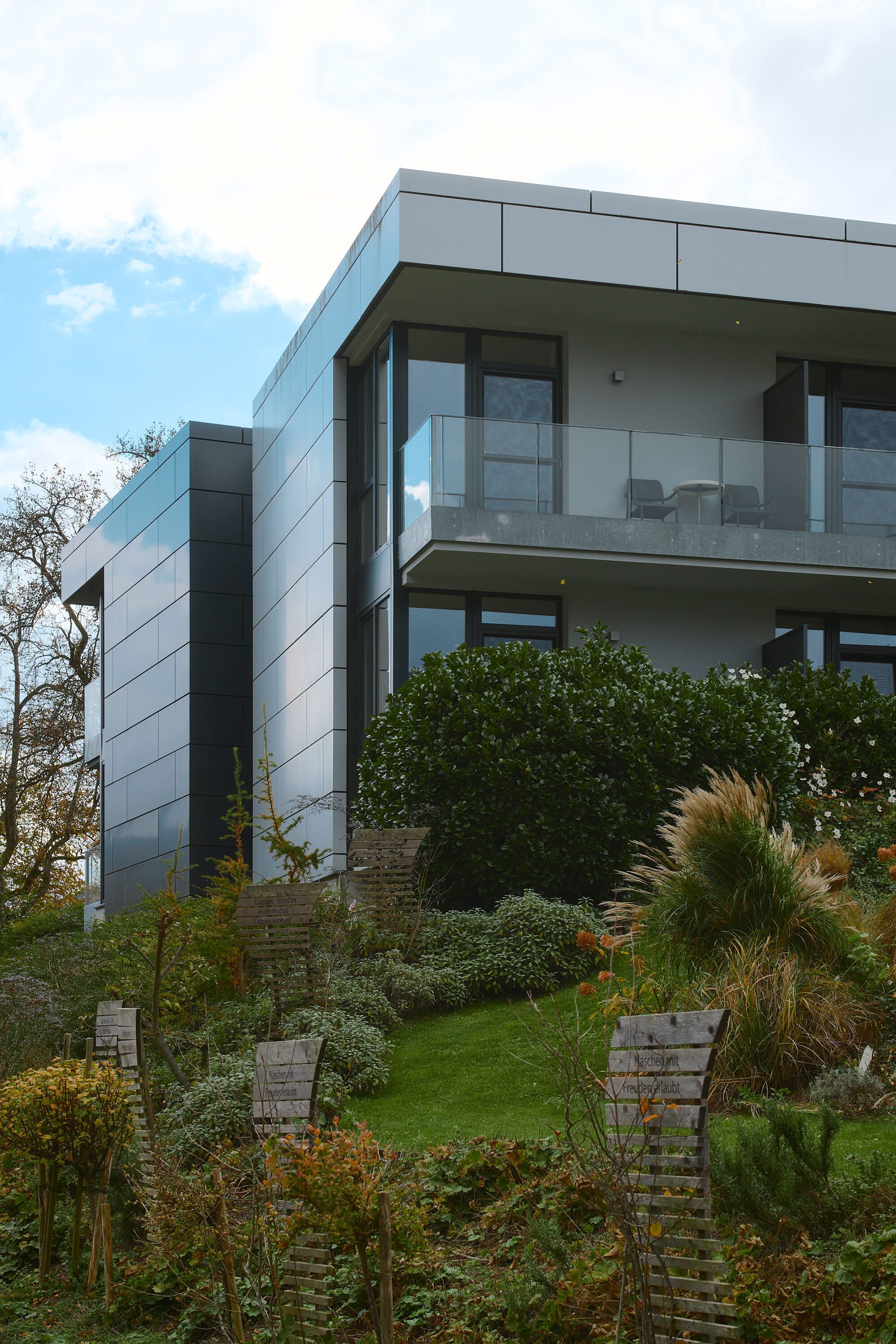 LEICA M11 P L1005469