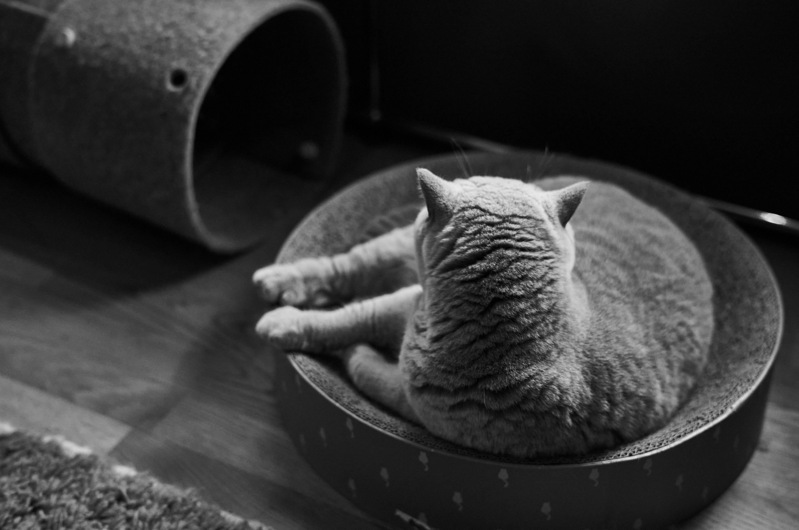 LEICA M11 Monochrom L1002095