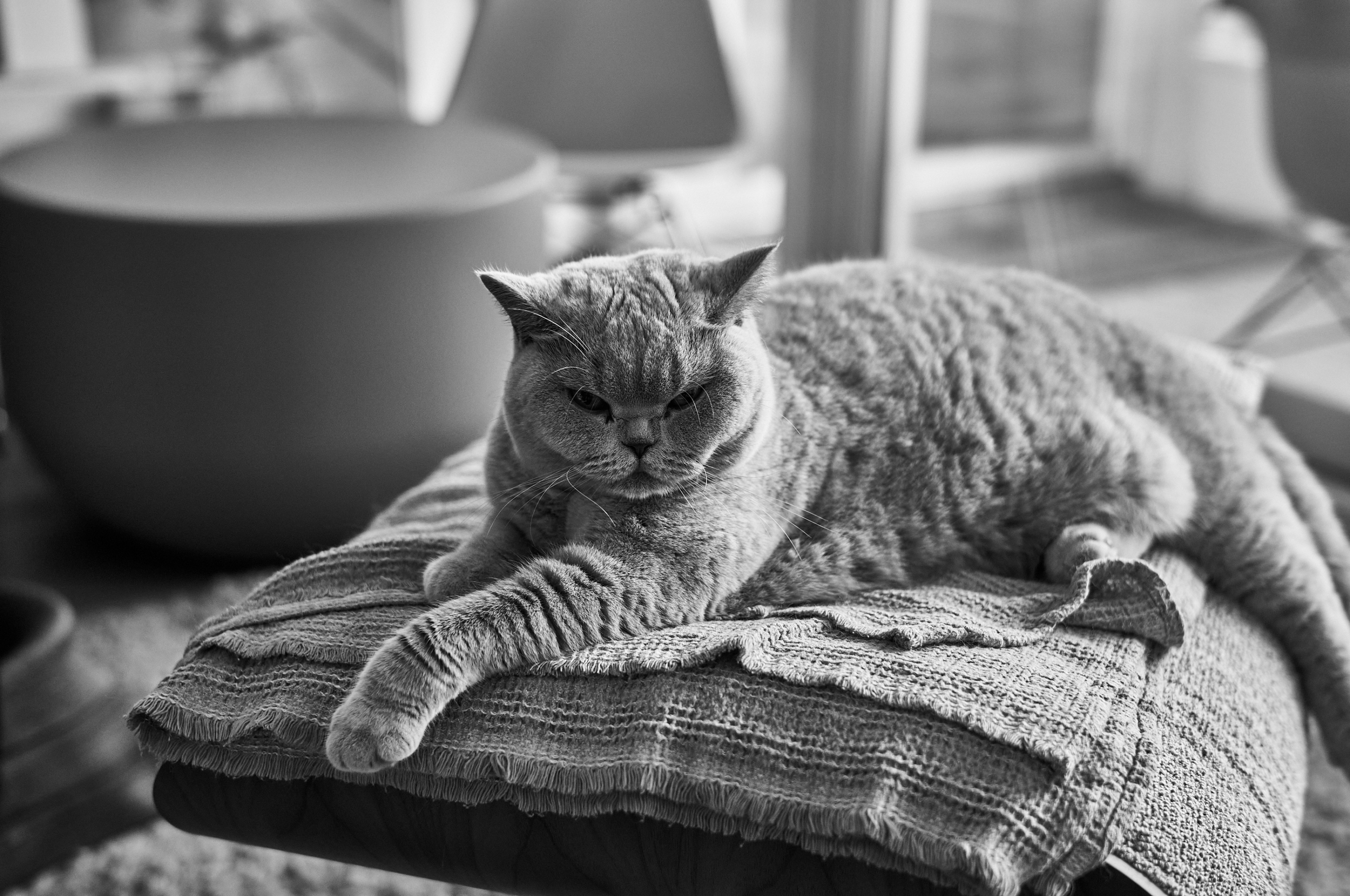 LEICA M11 Monochrom L1002107