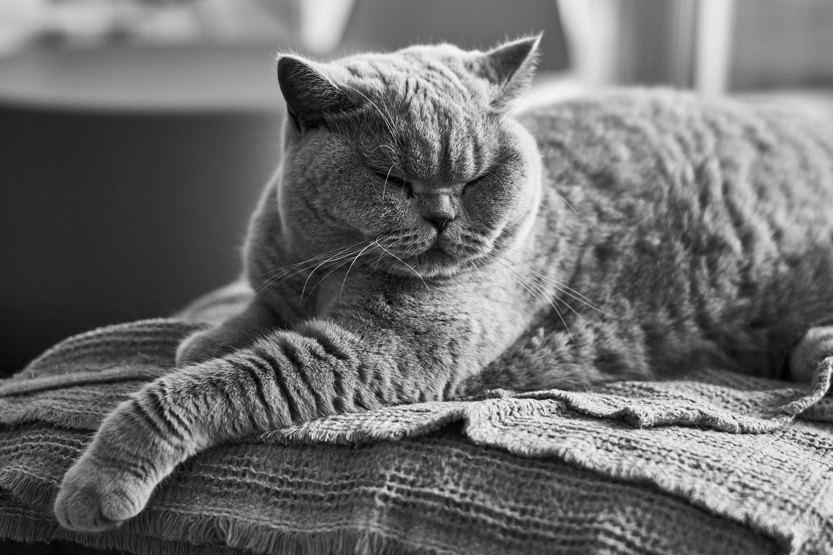 LEICA M11 Monochrom L1002108