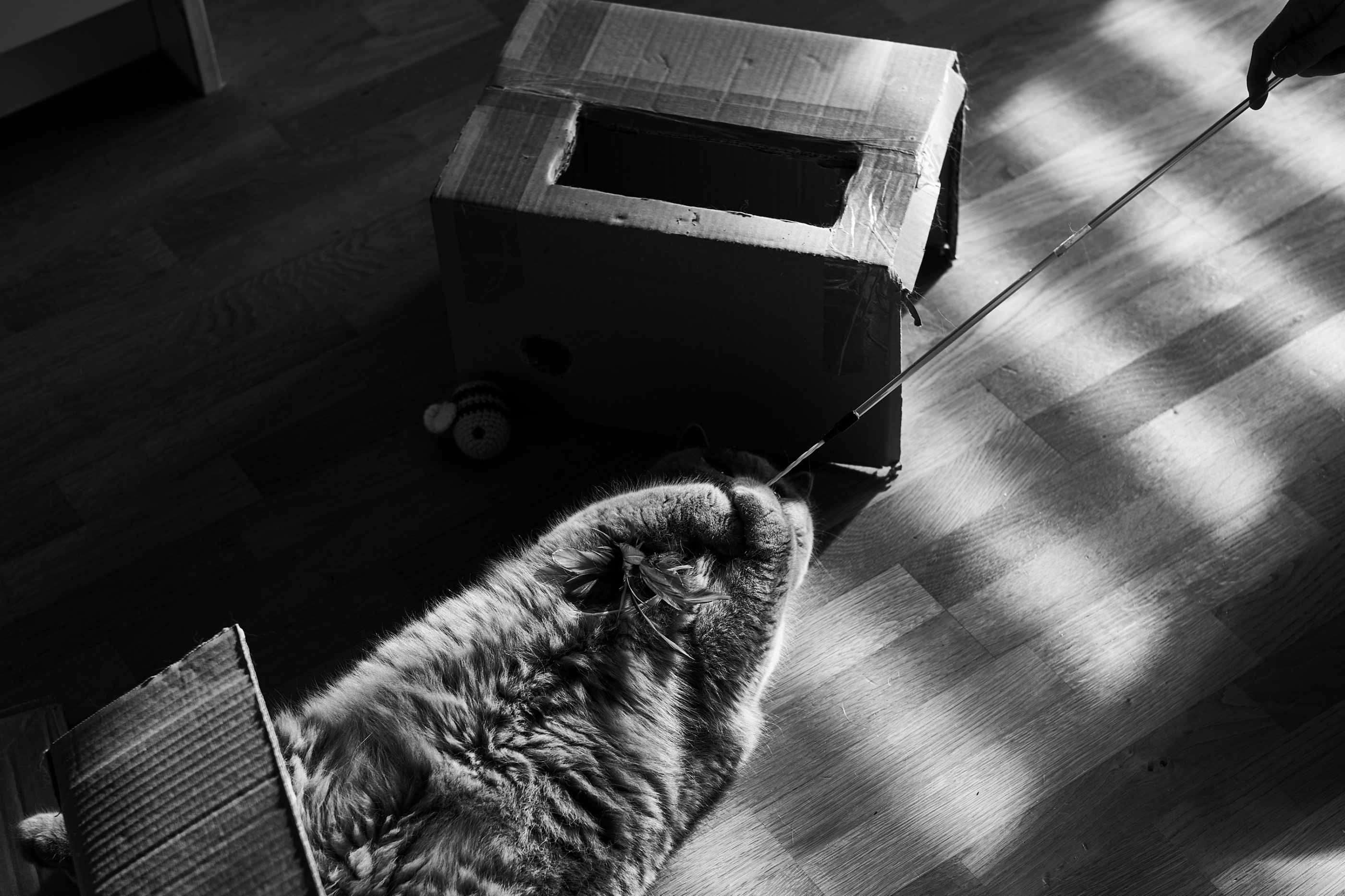 LEICA M11 Monochrom L1002115