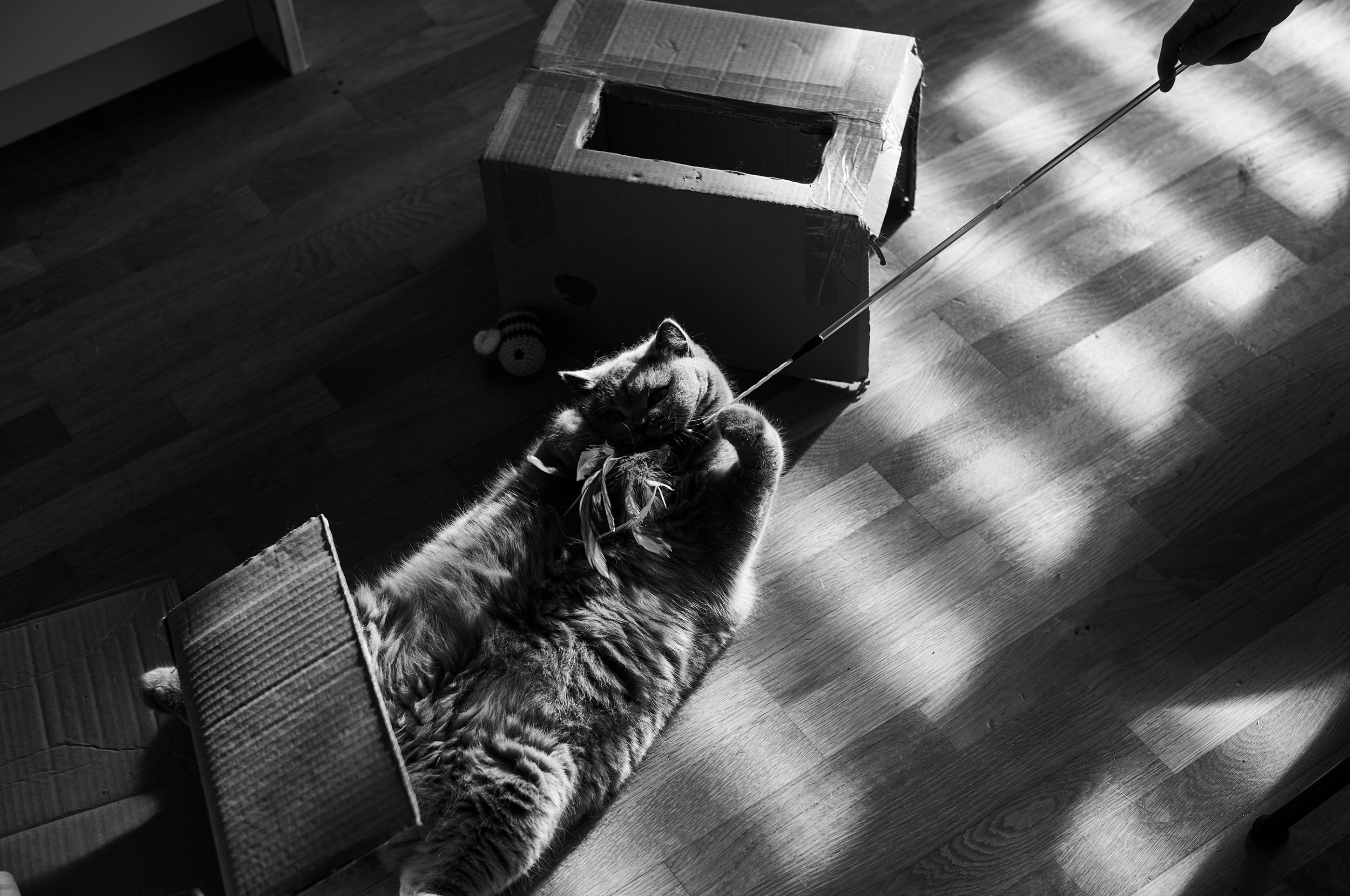 LEICA M11 Monochrom L1002116