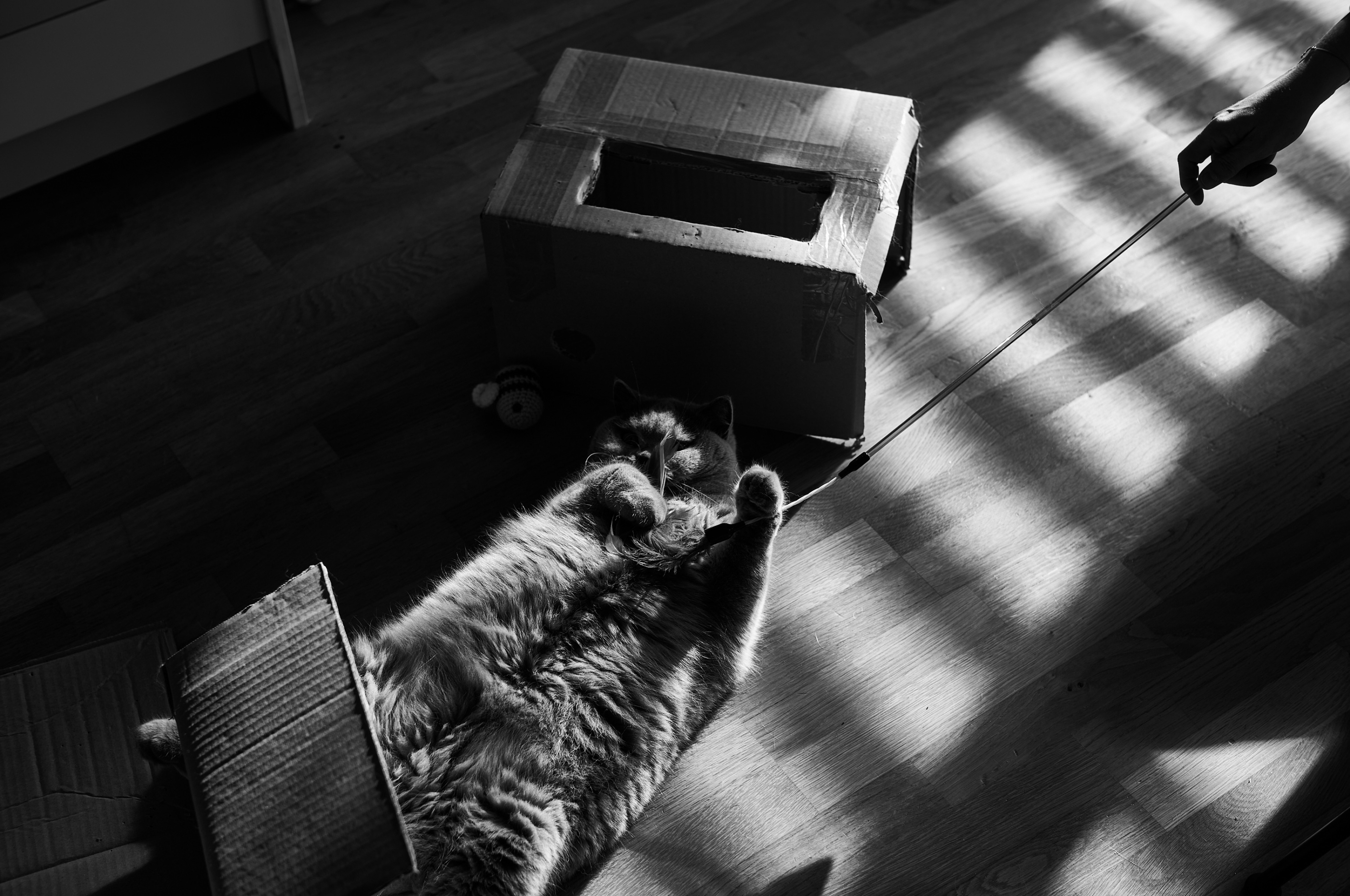 LEICA M11 Monochrom L1002117