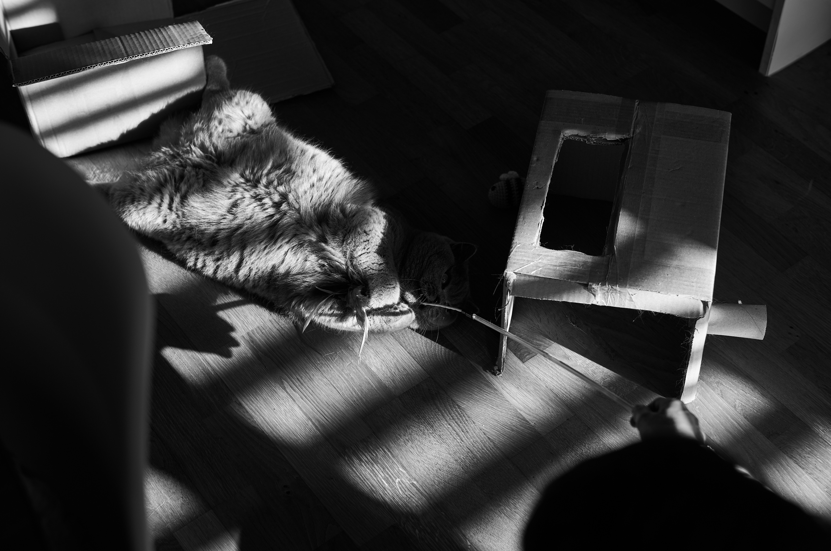 LEICA M11 Monochrom L1002119