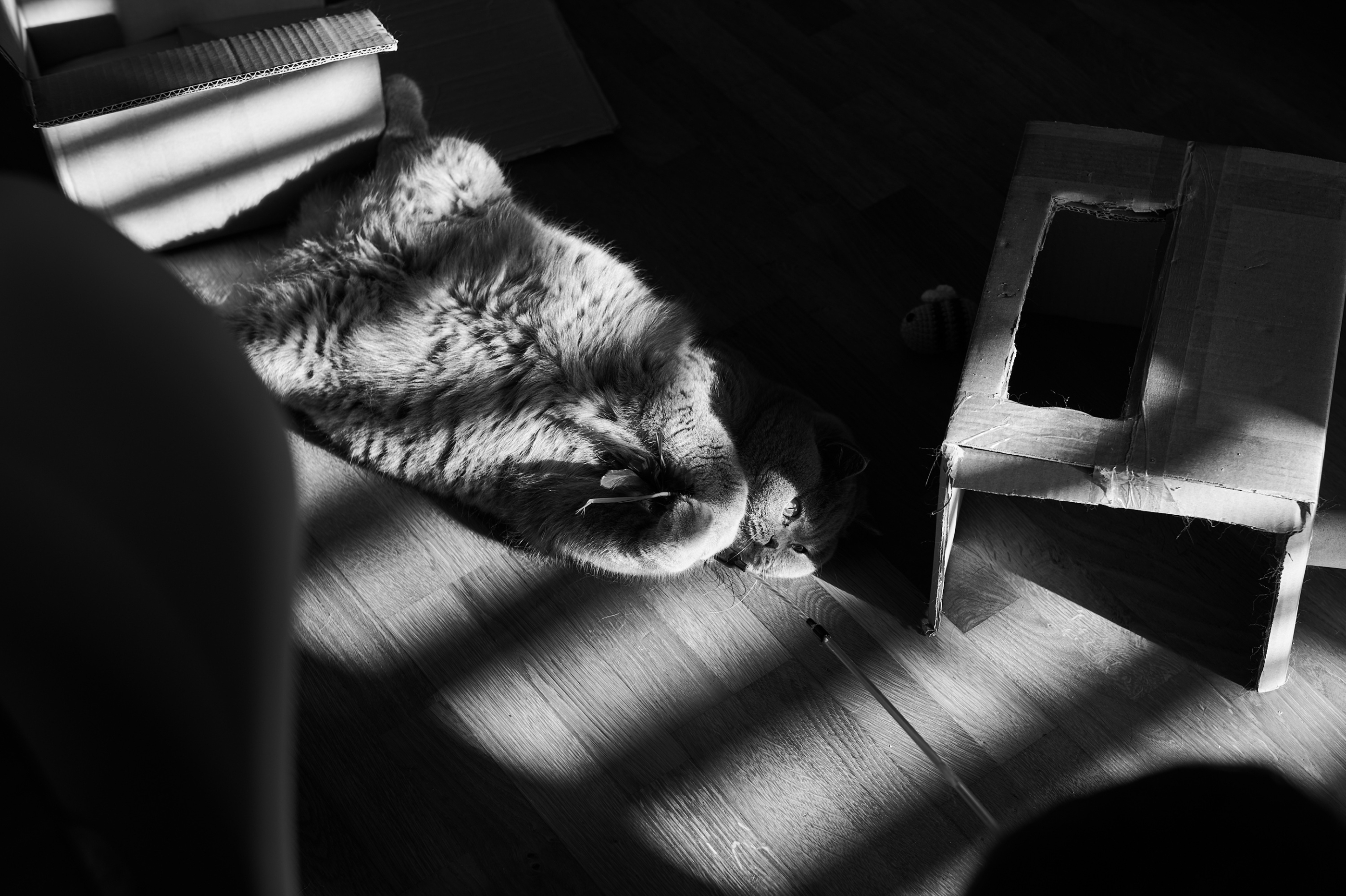 LEICA M11 Monochrom L1002120