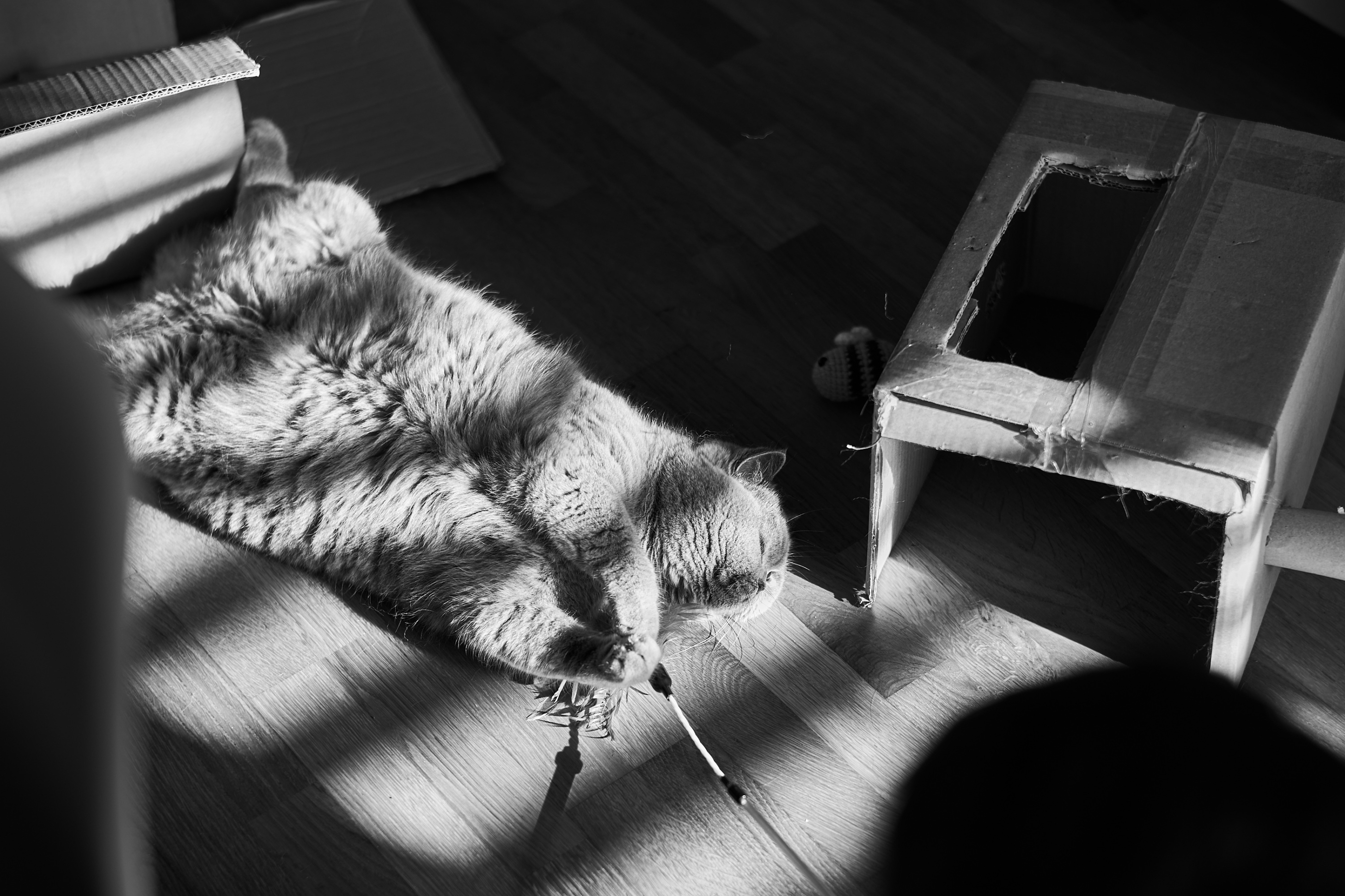 LEICA M11 Monochrom L1002122
