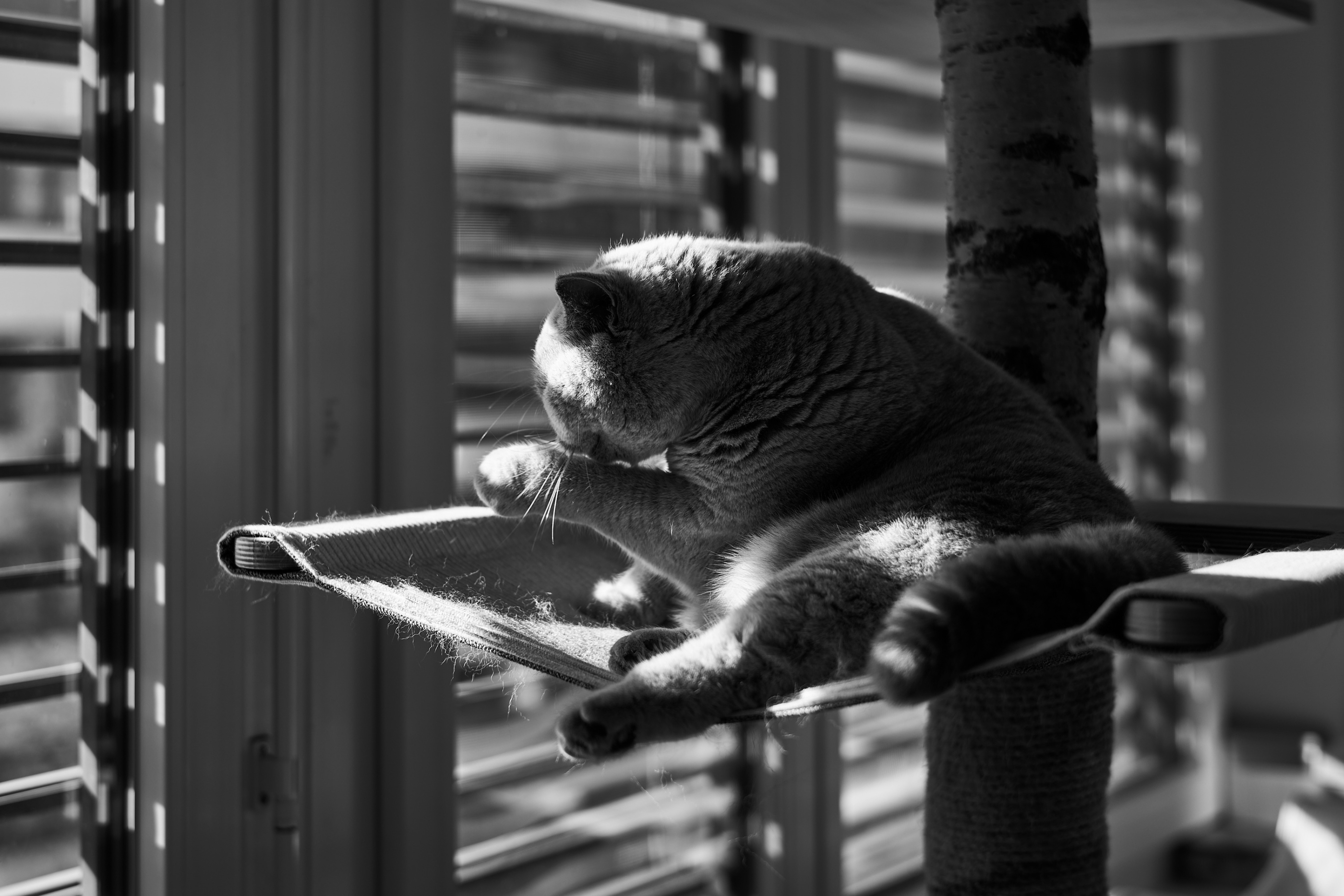 LEICA M11 Monochrom L1002127