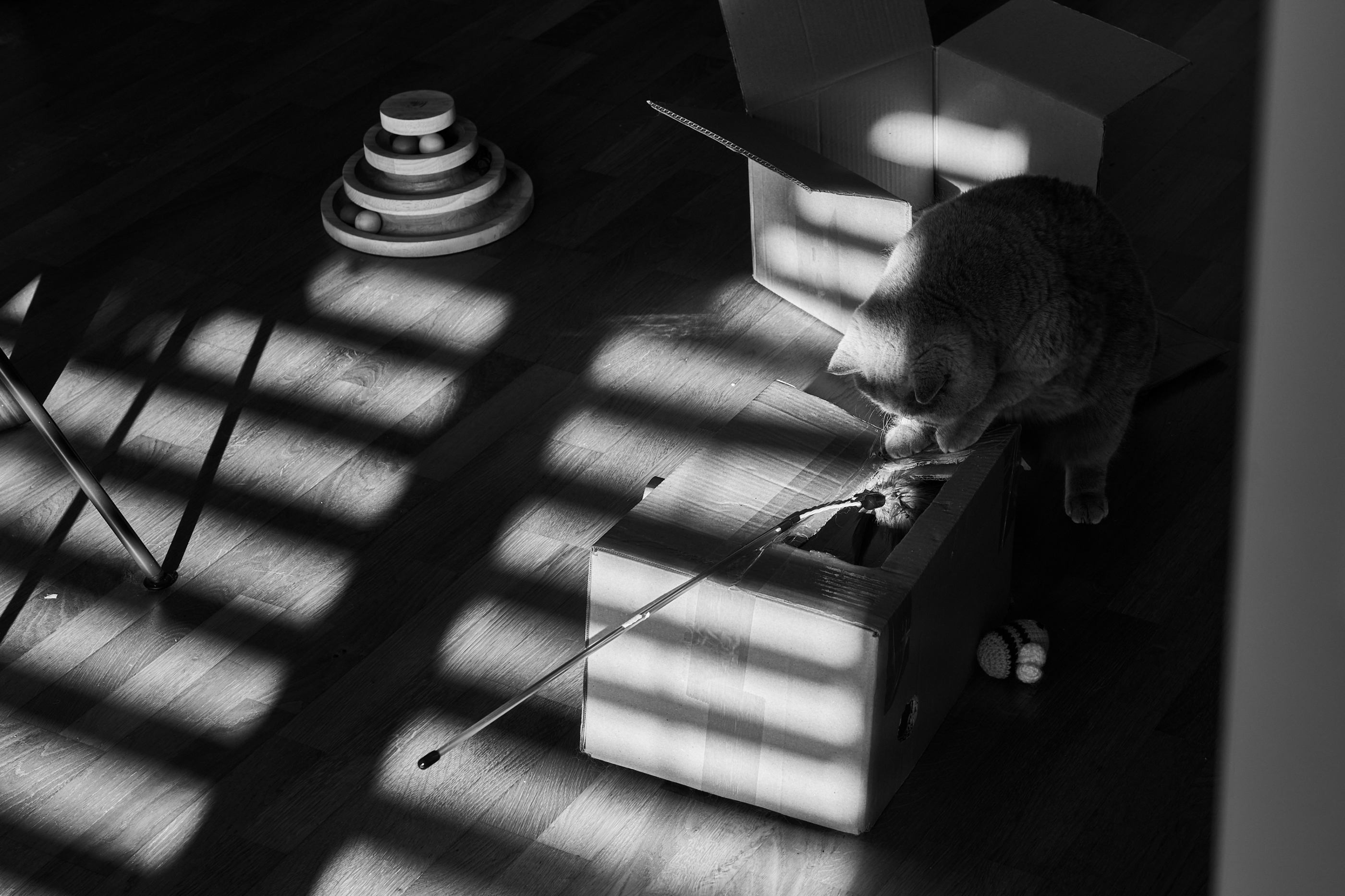 LEICA M11 Monochrom L1002132