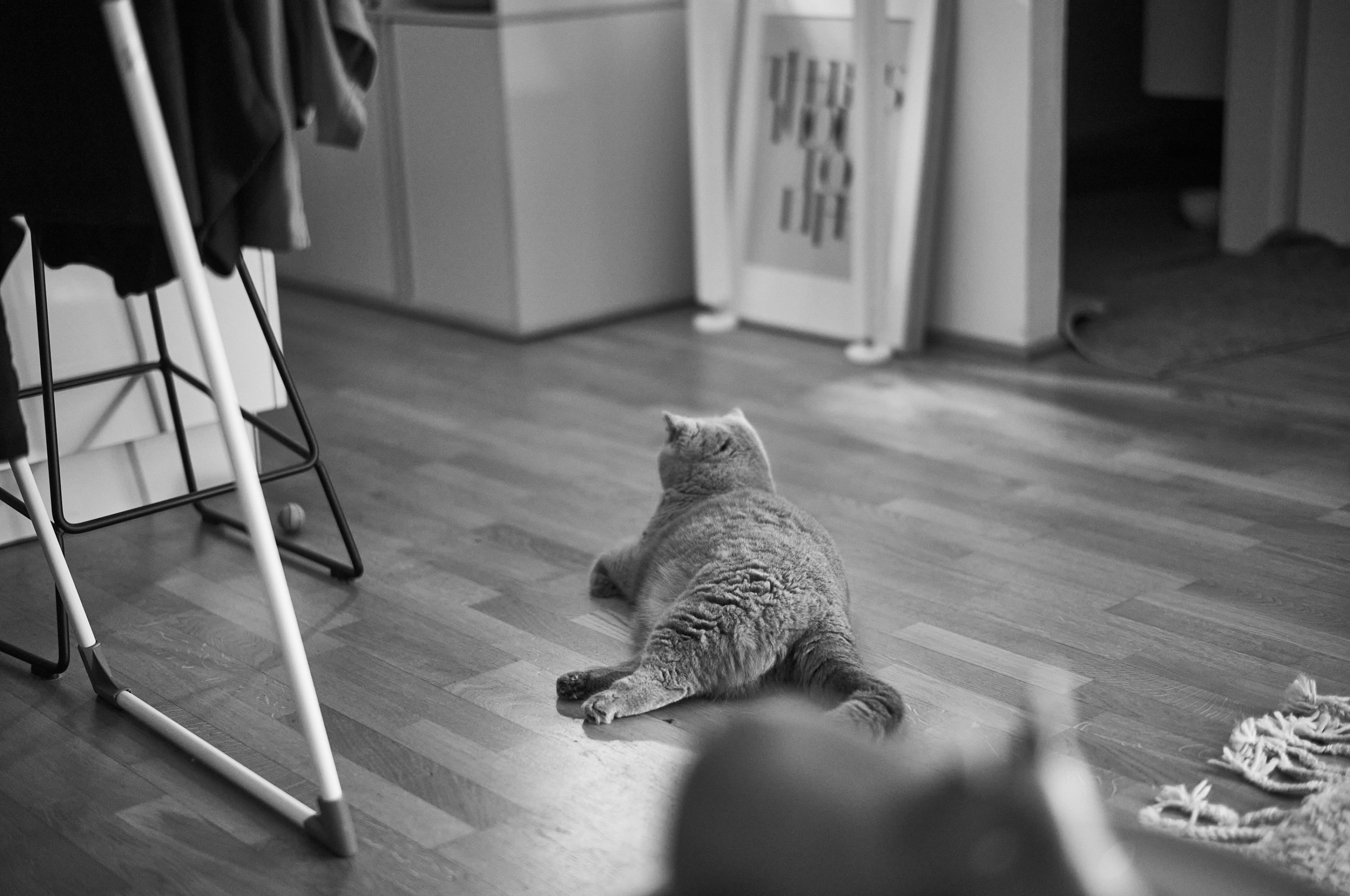 LEICA M11 Monochrom L1002191
