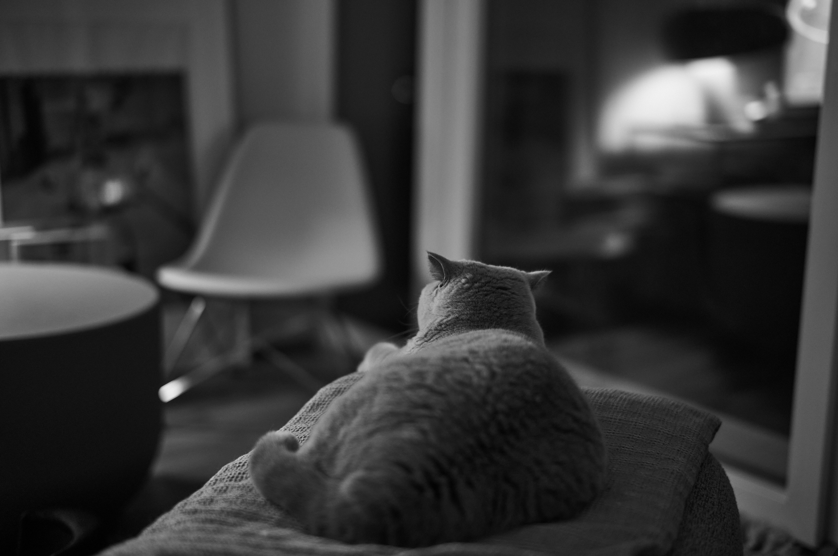 LEICA M11 Monochrom L1002192