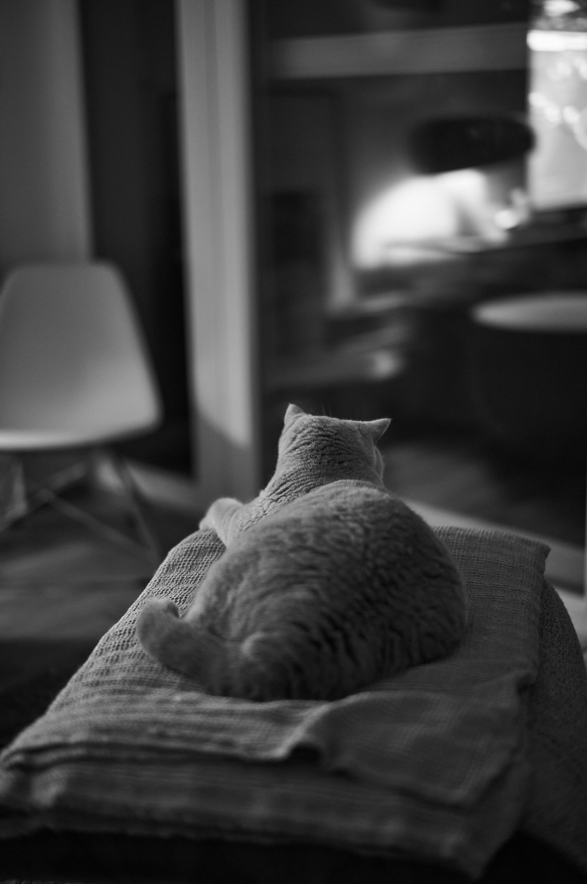 LEICA M11 Monochrom L1002193