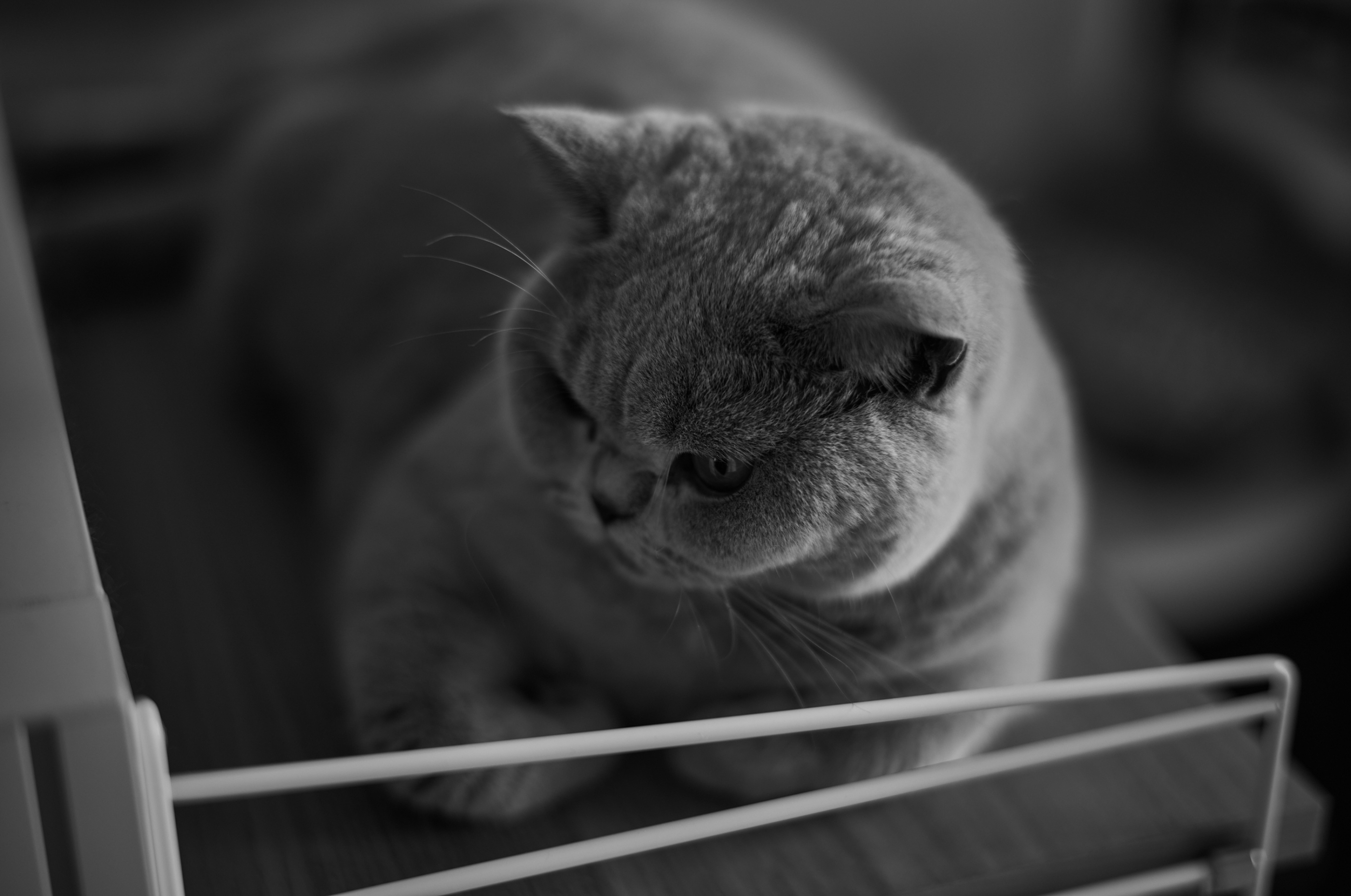 LEICA M11 Monochrom L1002201