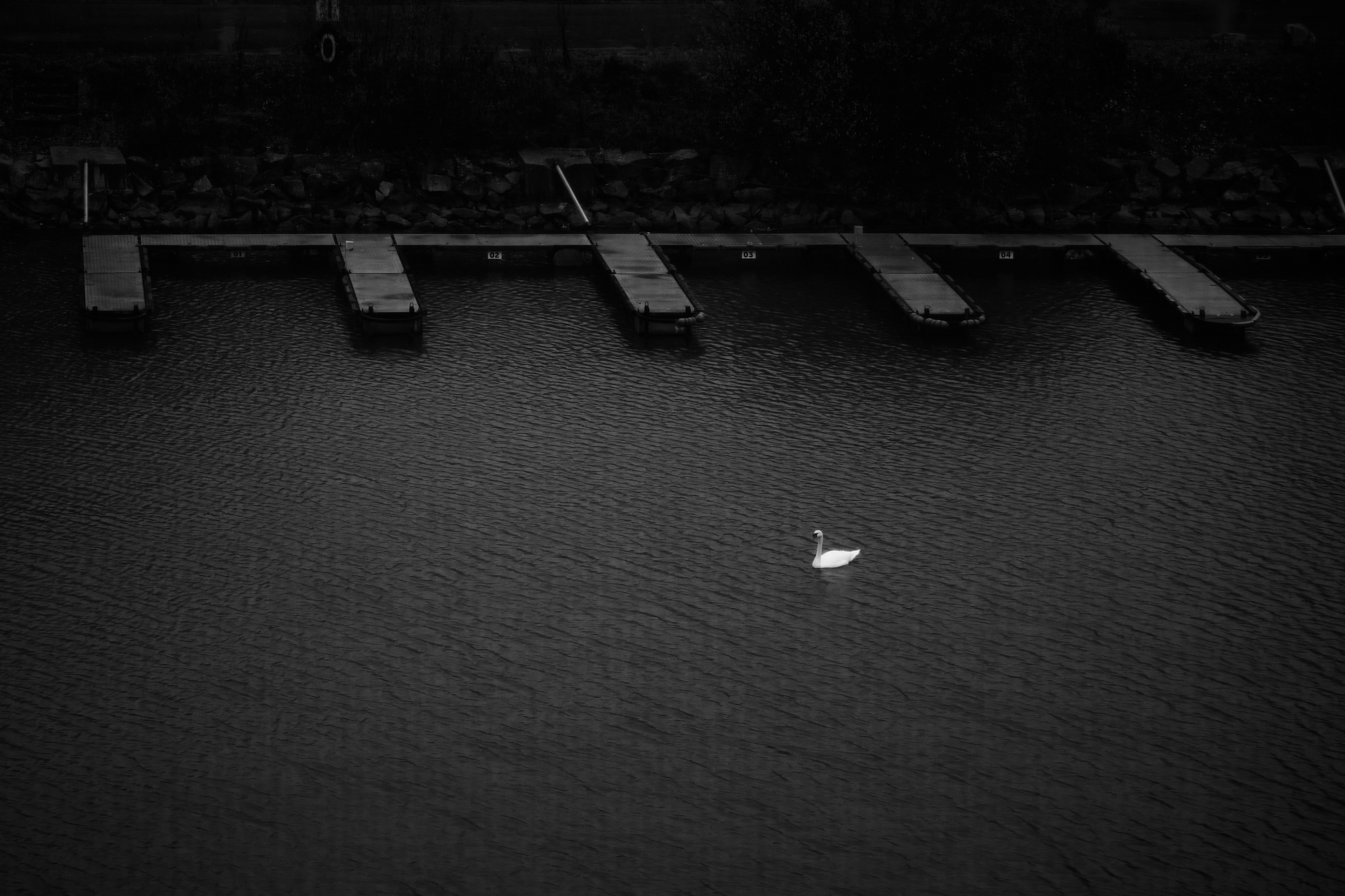 LEICA M11 Monochrom L1002203