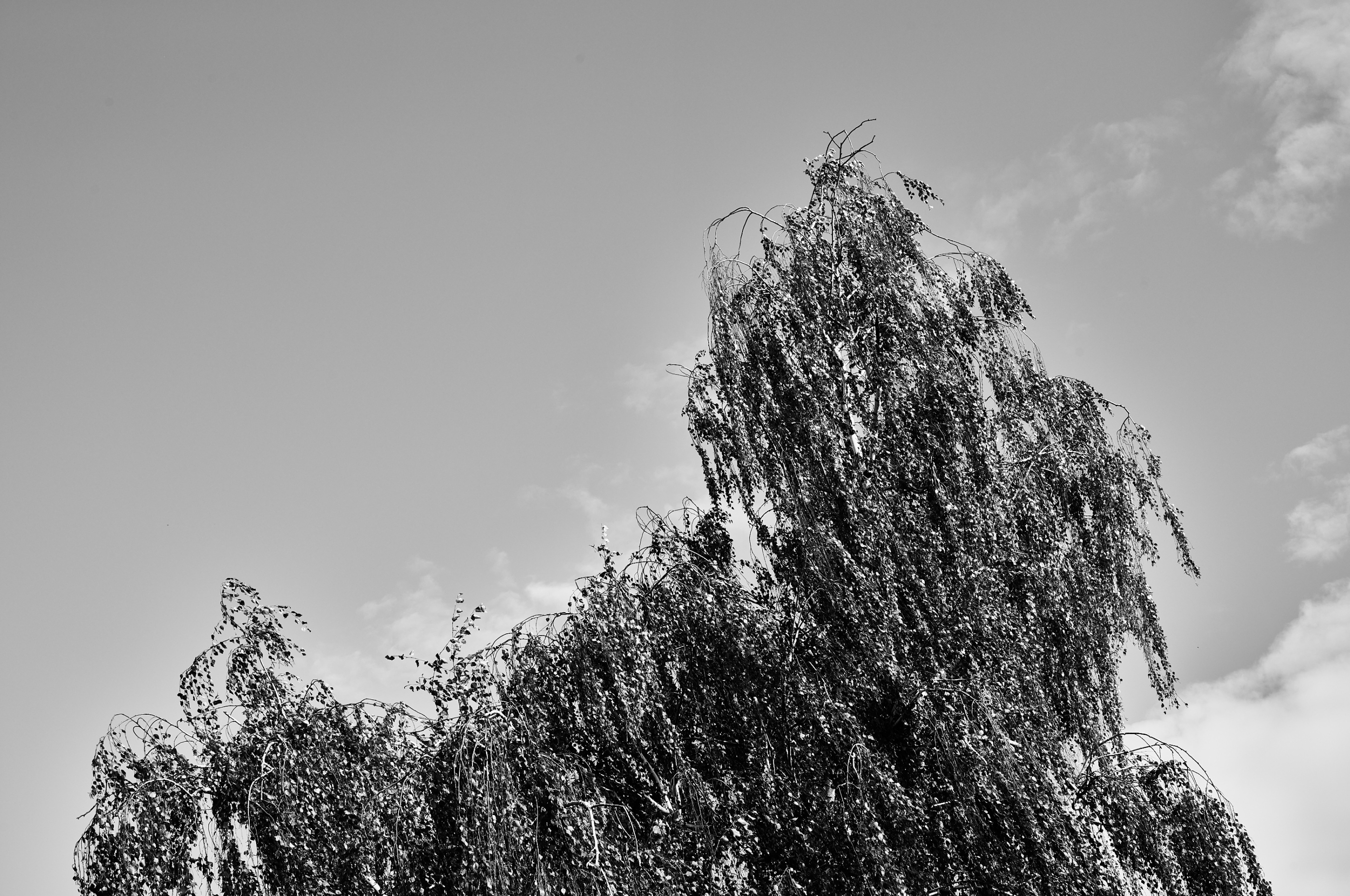 LEICA M11 Monochrom L1002208
