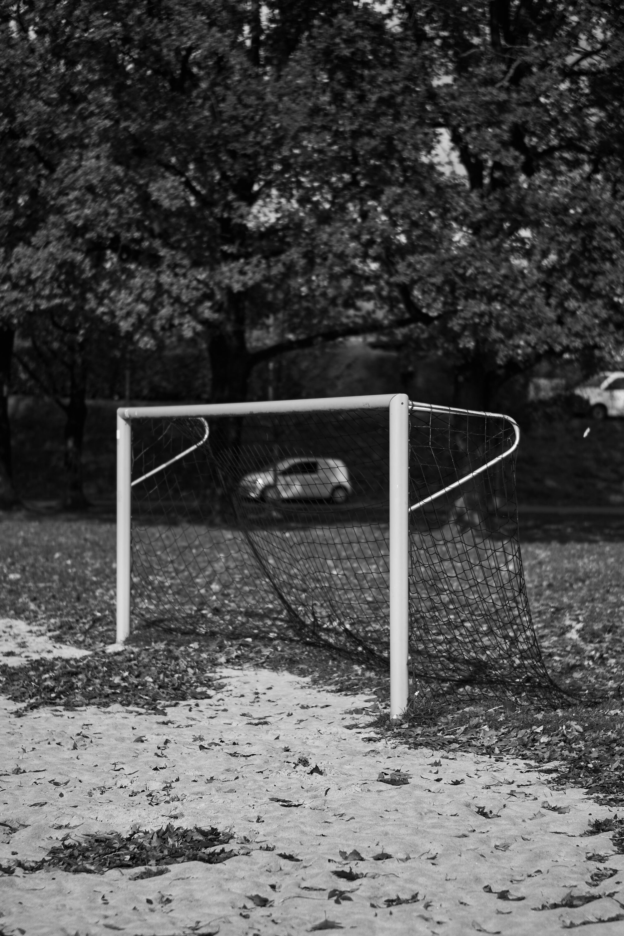 LEICA M11 Monochrom L1002249
