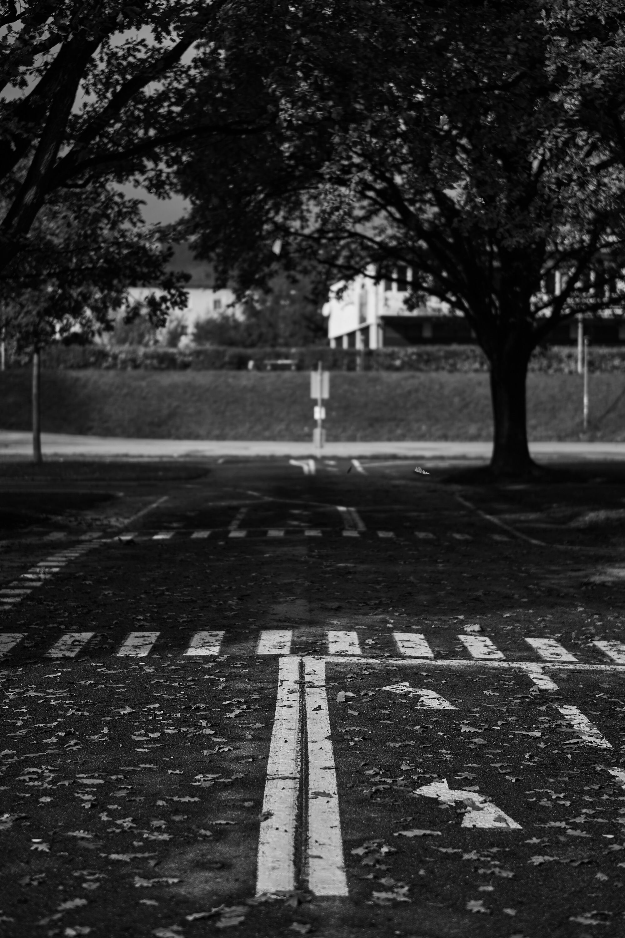 LEICA M11 Monochrom L1002252