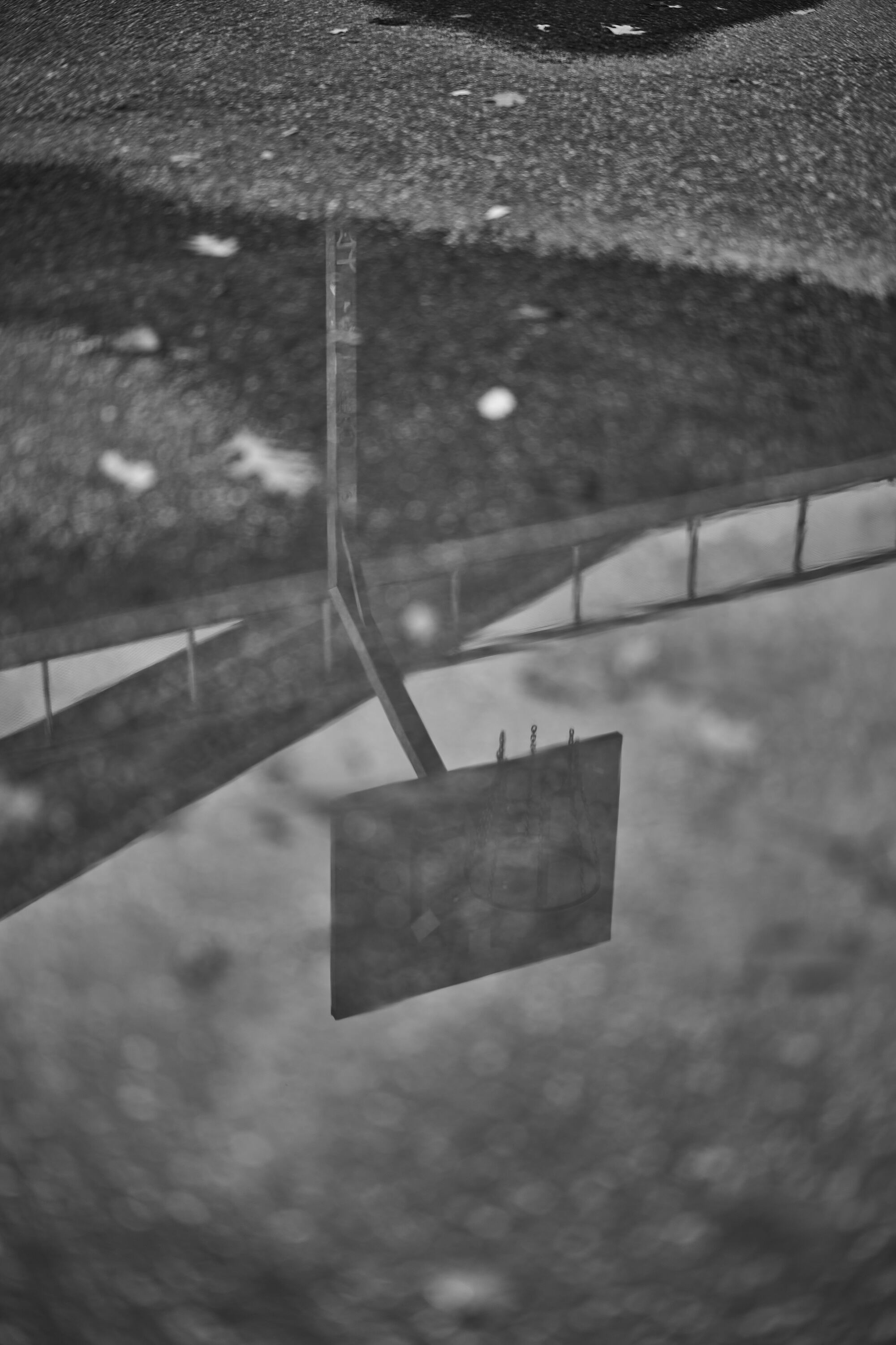 LEICA M11 Monochrom L1002266