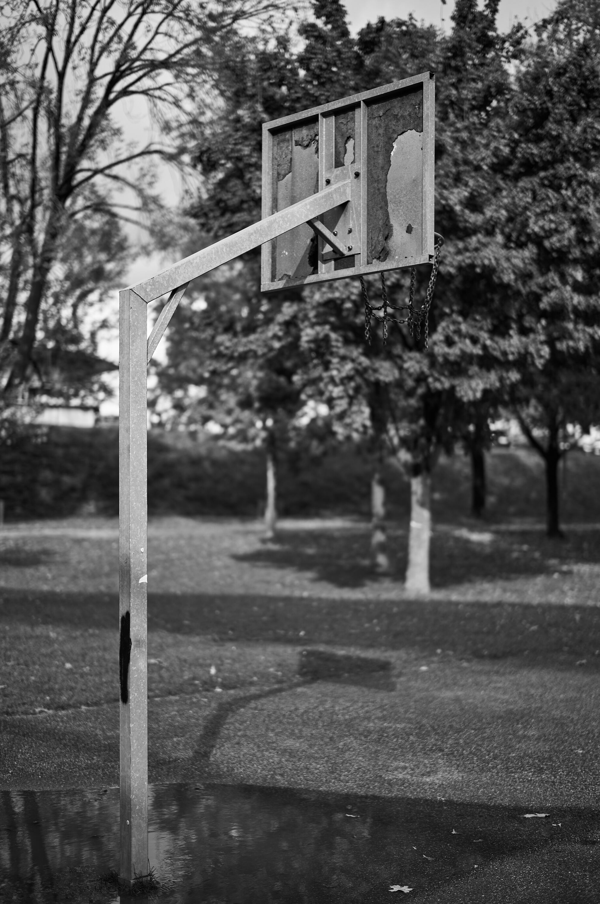 LEICA M11 Monochrom L1002272
