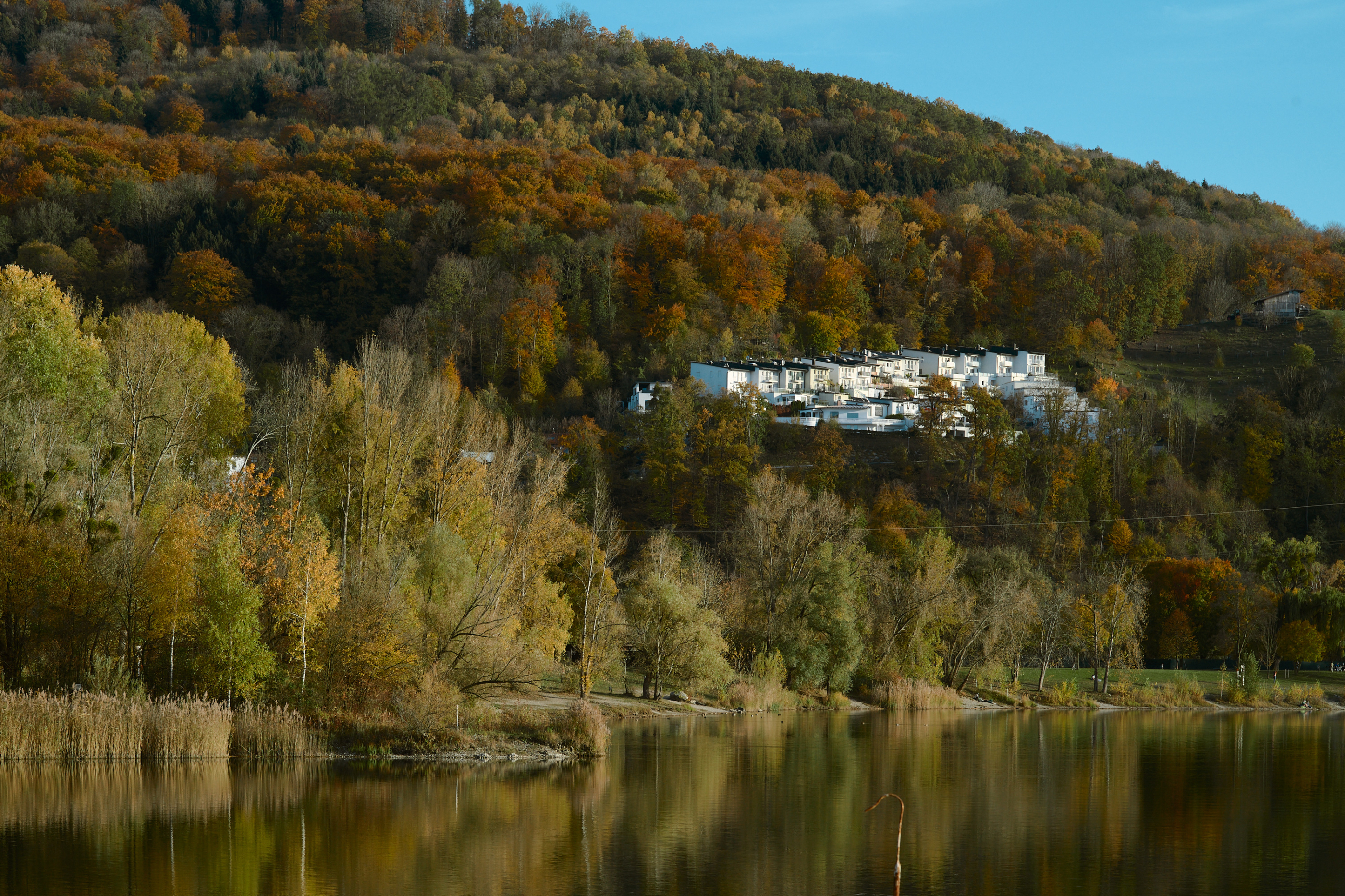 LEICA M11 P L1005506