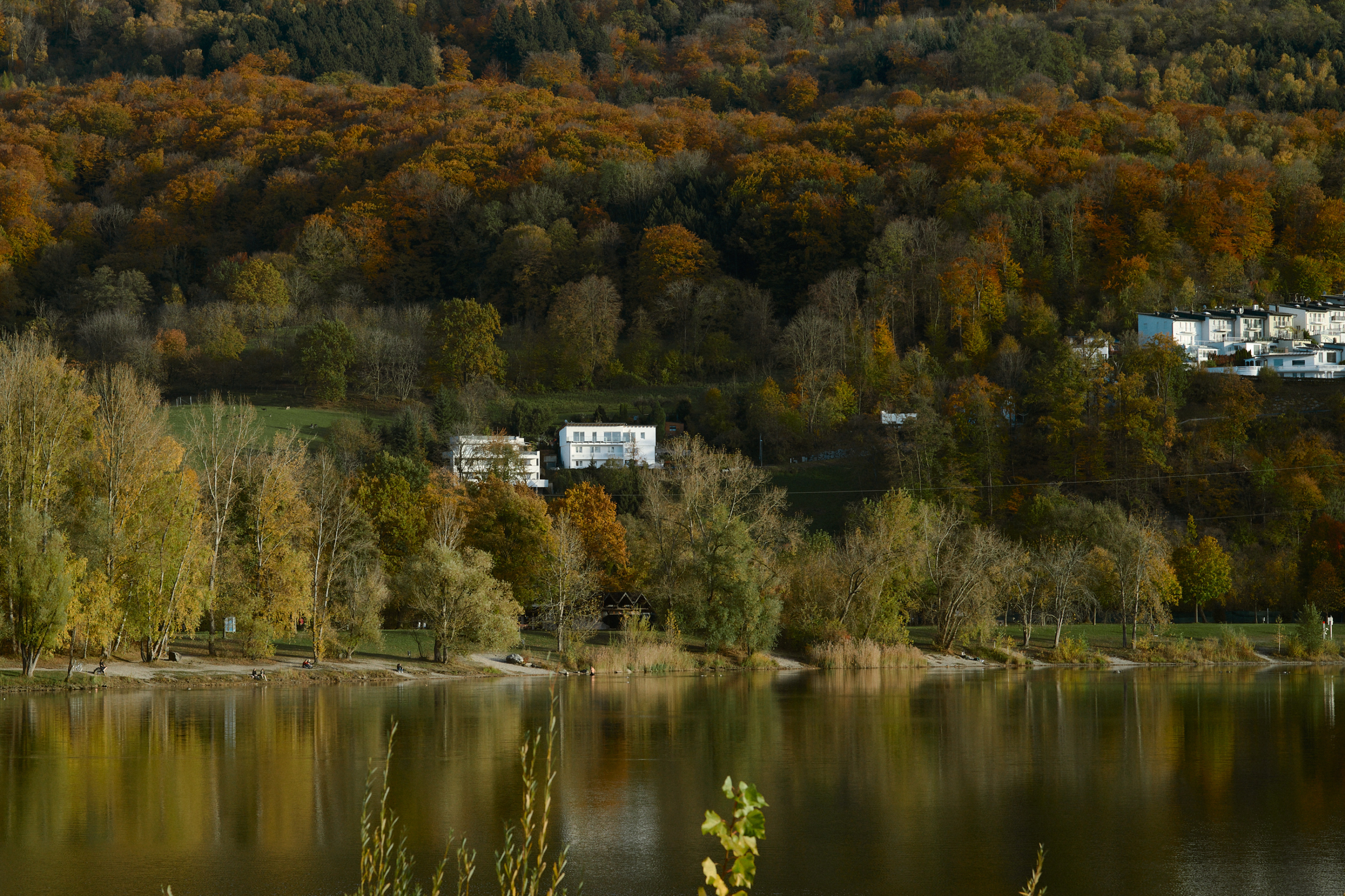 LEICA M11 P L1005513