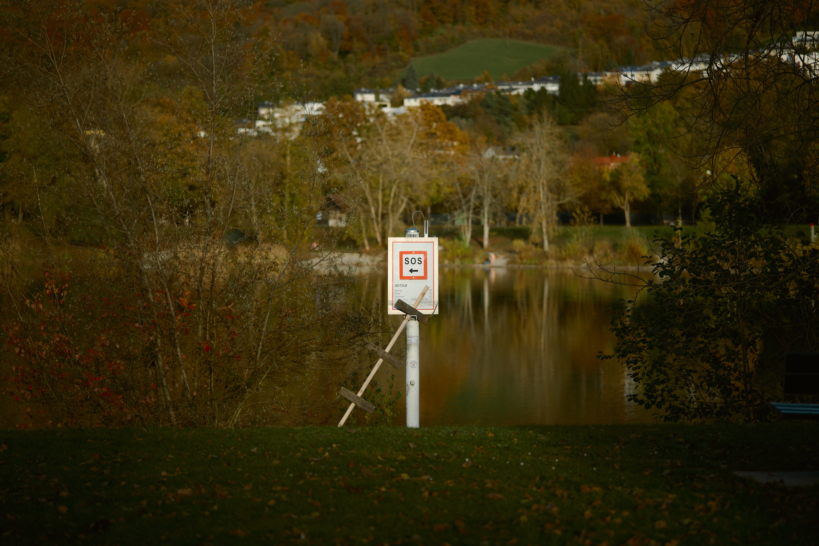 LEICA M11 P L1005527