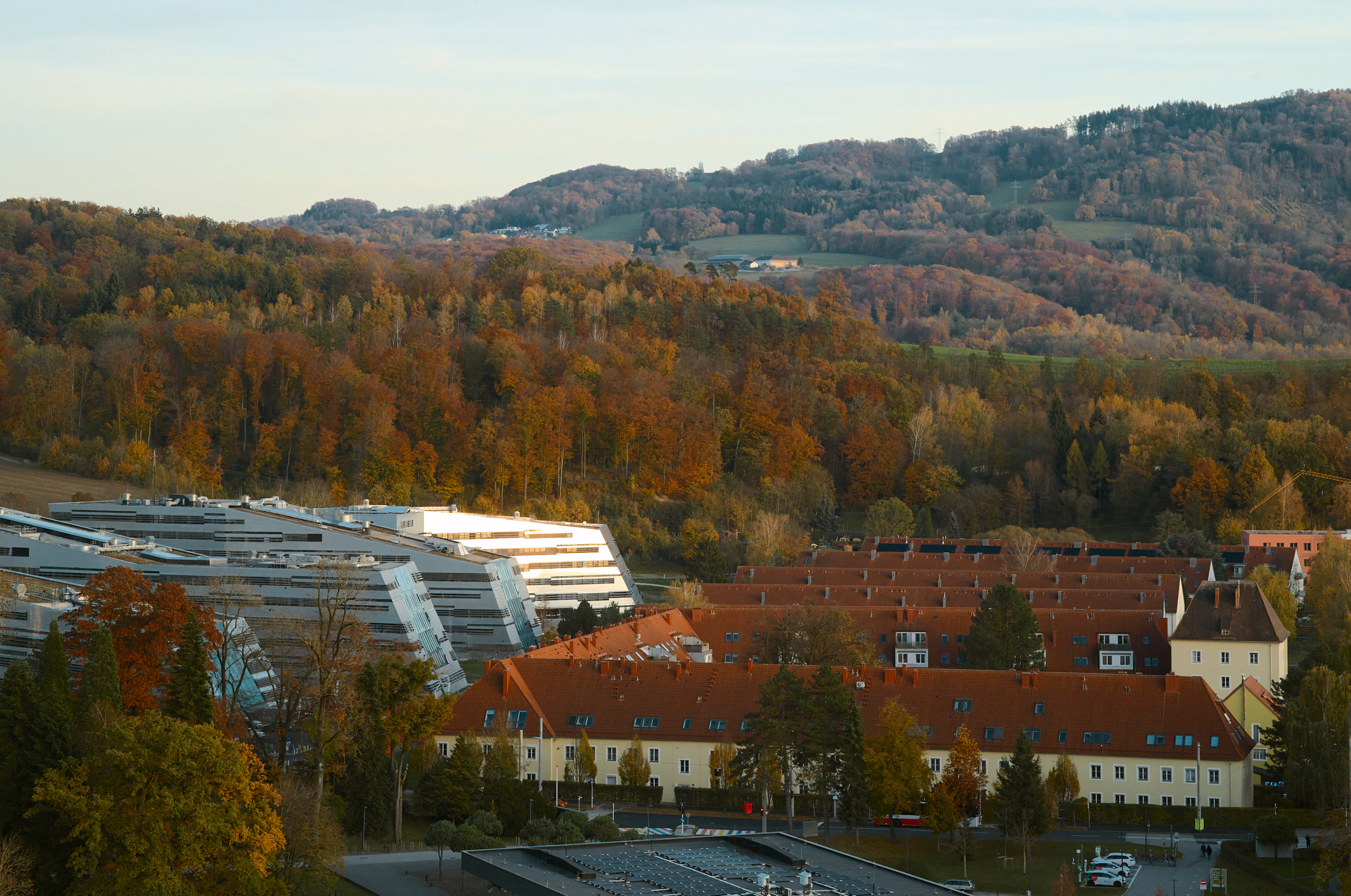 LEICA M11 P L1005547