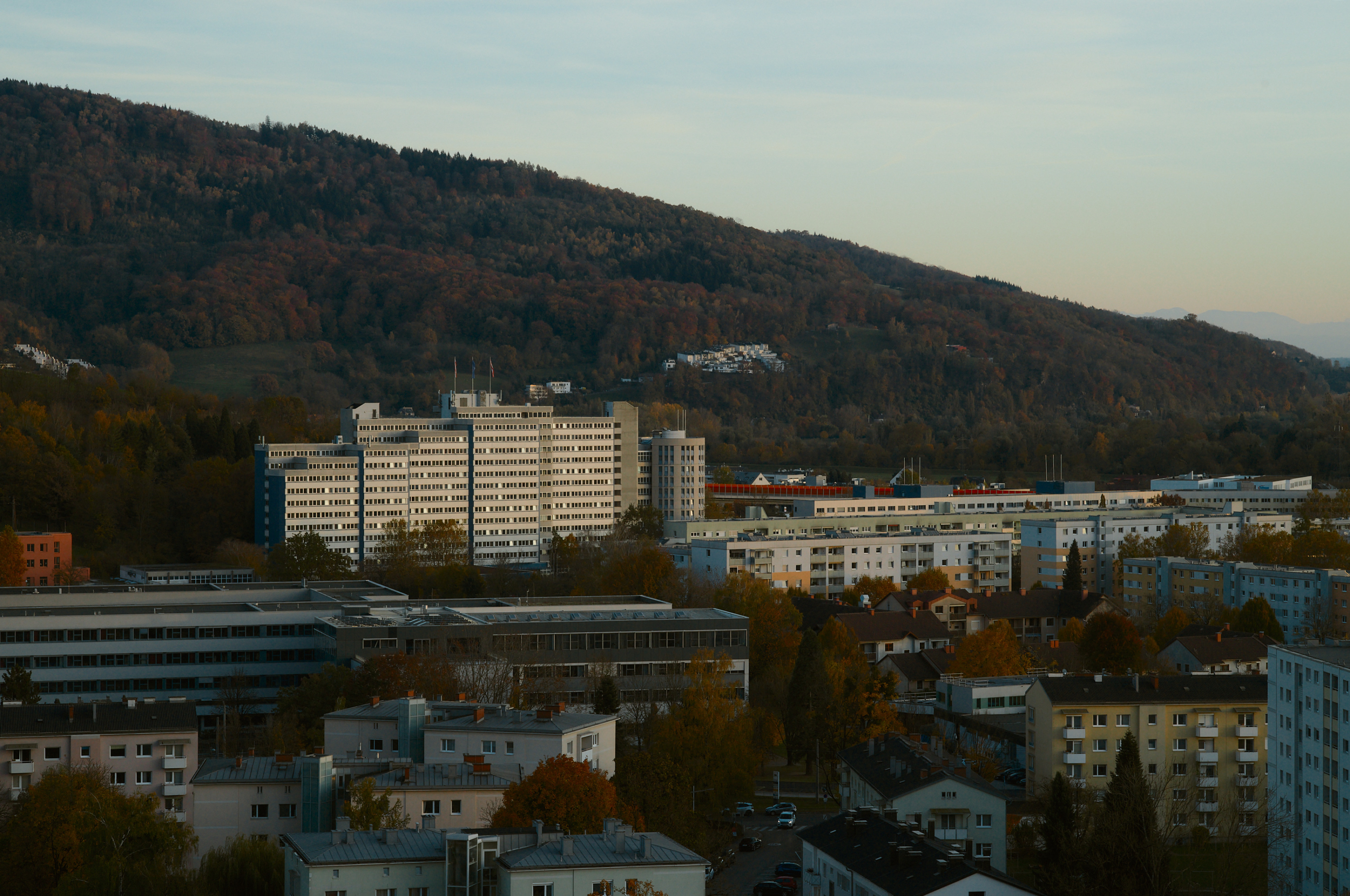 LEICA M11 P L1005548
