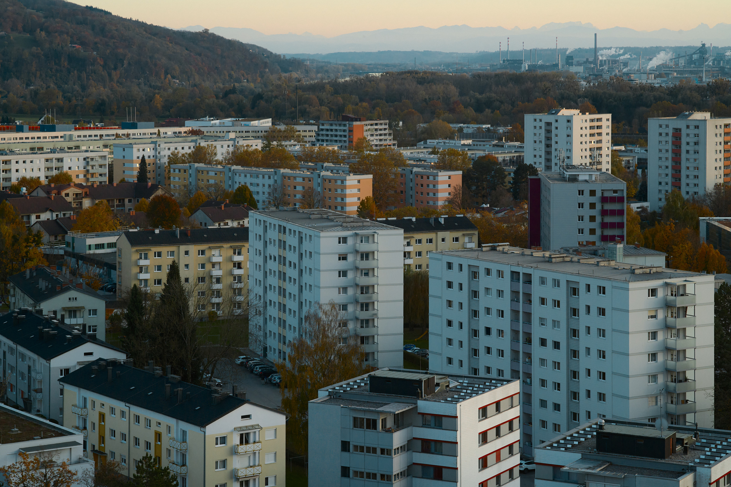 LEICA M11 P L1005554