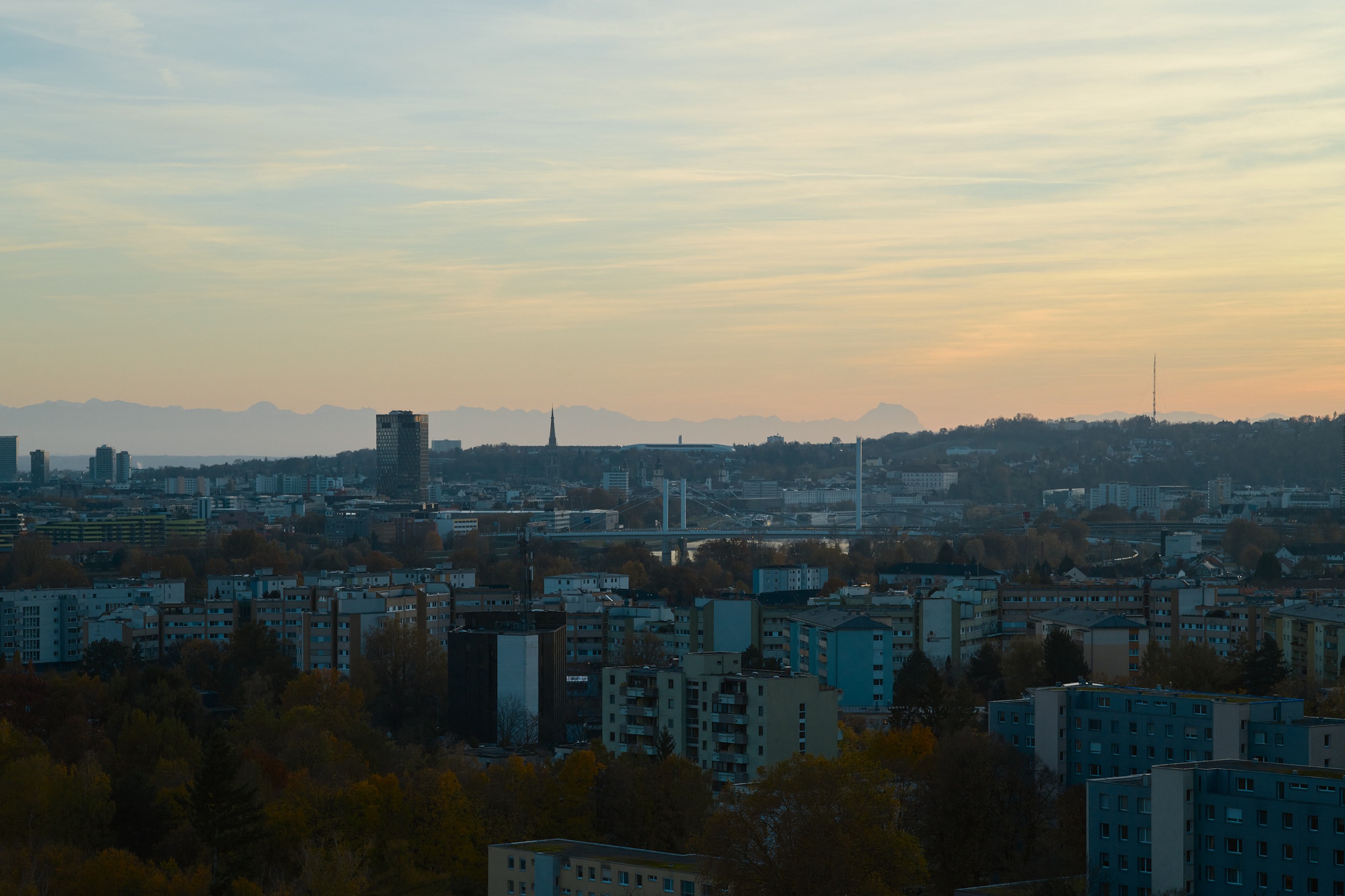 LEICA M11 P L1005557