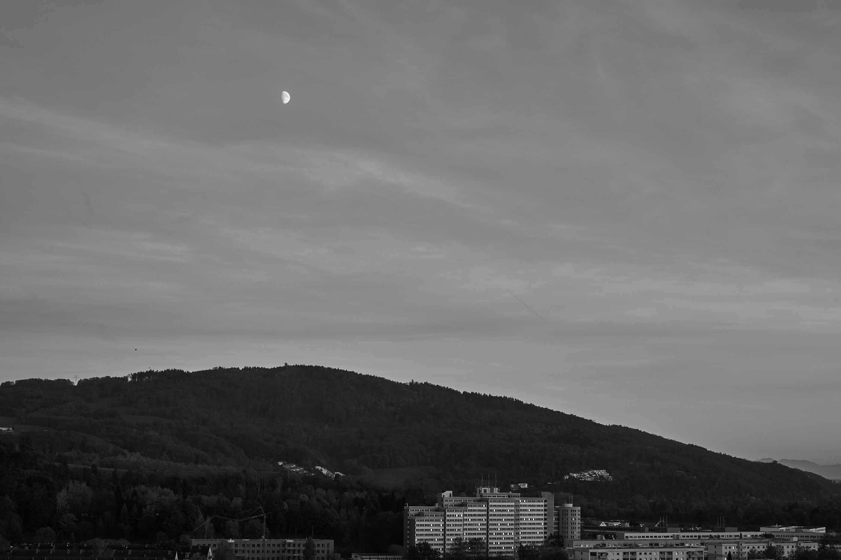 LEICA M11 Monochrom L1002388