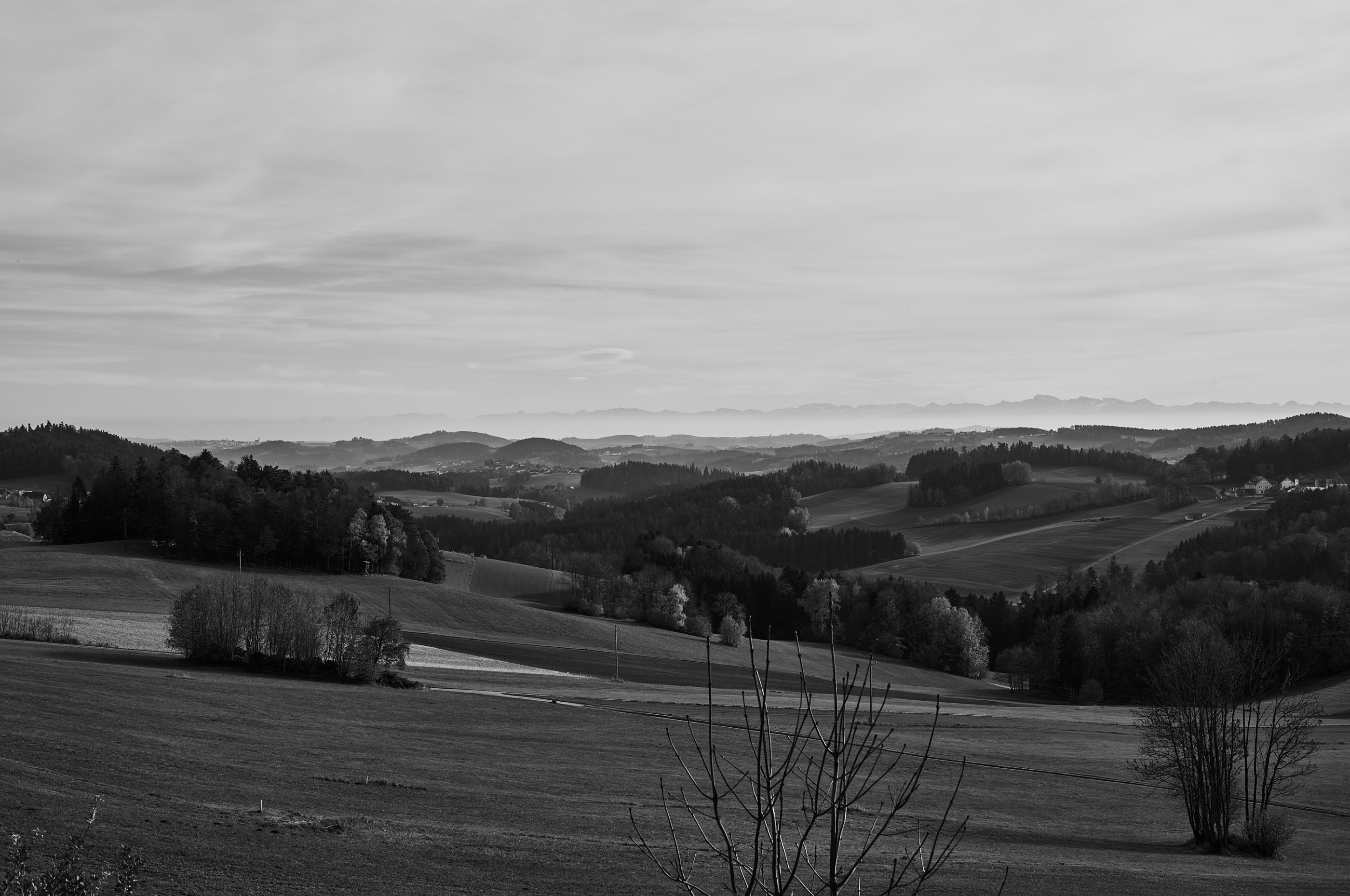 LEICA M11 Monochrom L1002428