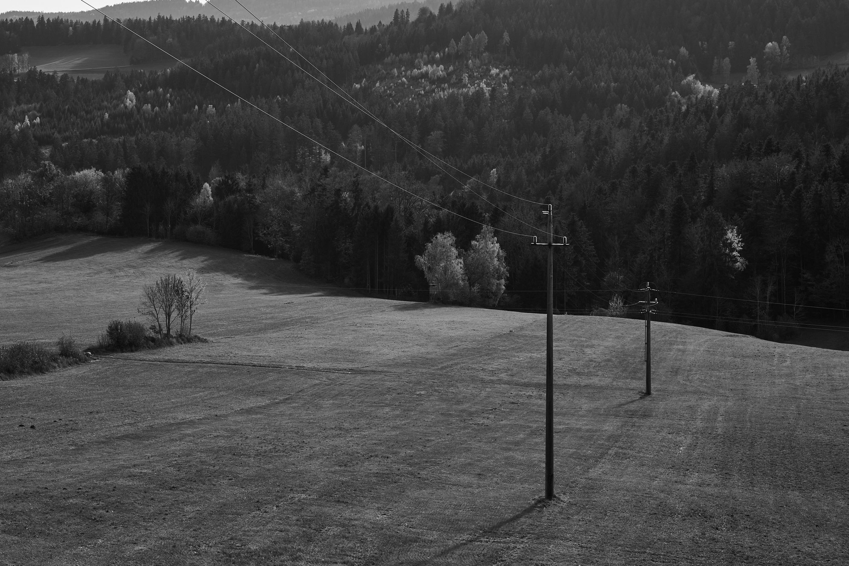 LEICA M11 Monochrom L1002430