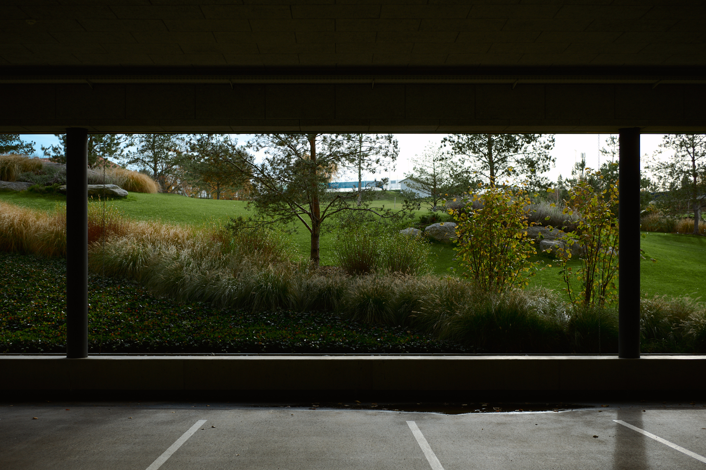 LEICA M11 P L1005615