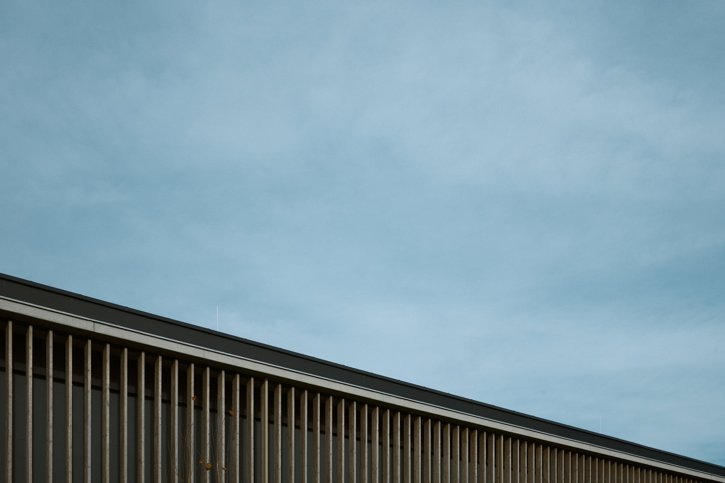 LEICA M11 P L1005616