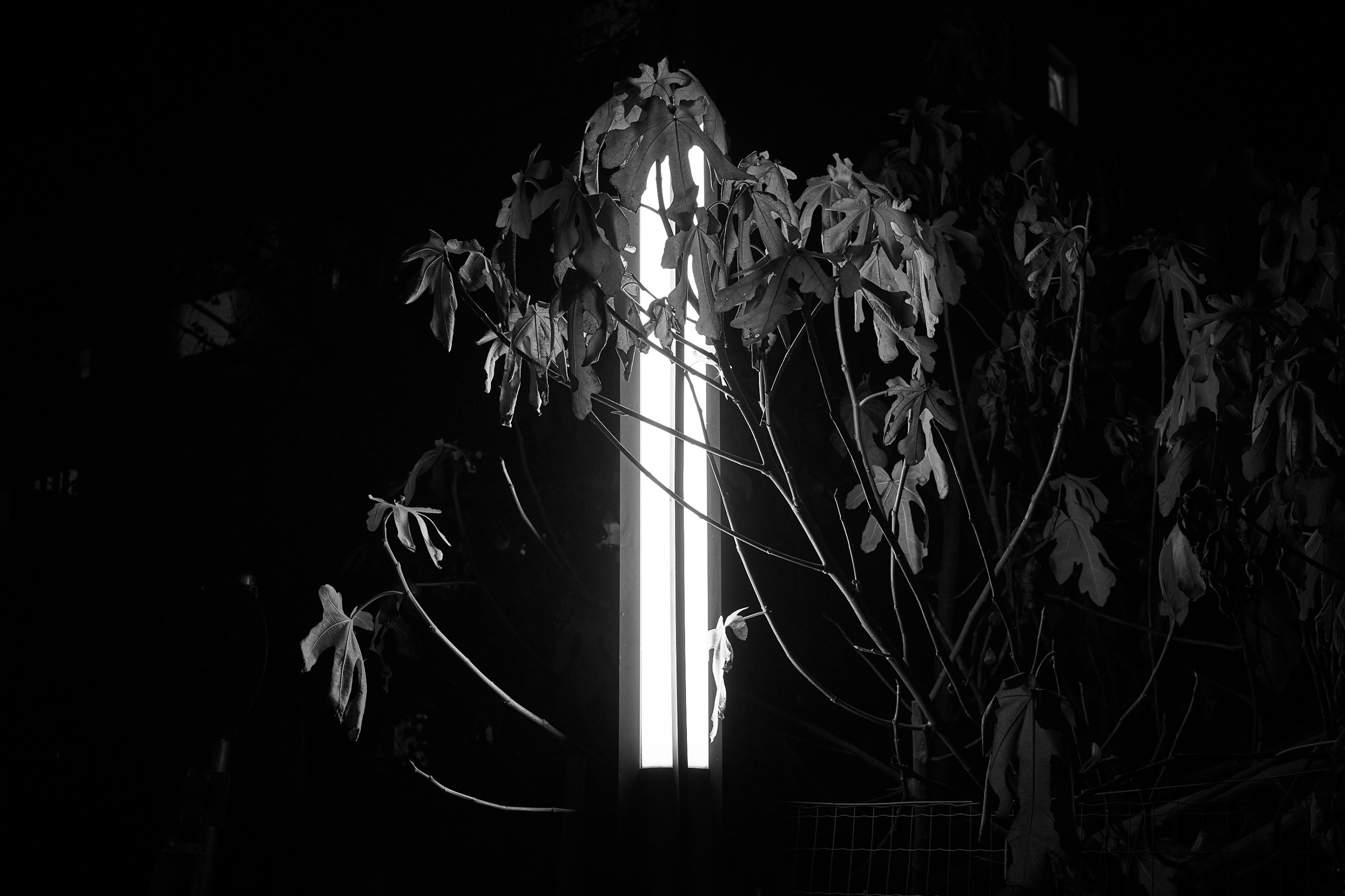 LEICA M11 Monochrom L1002488