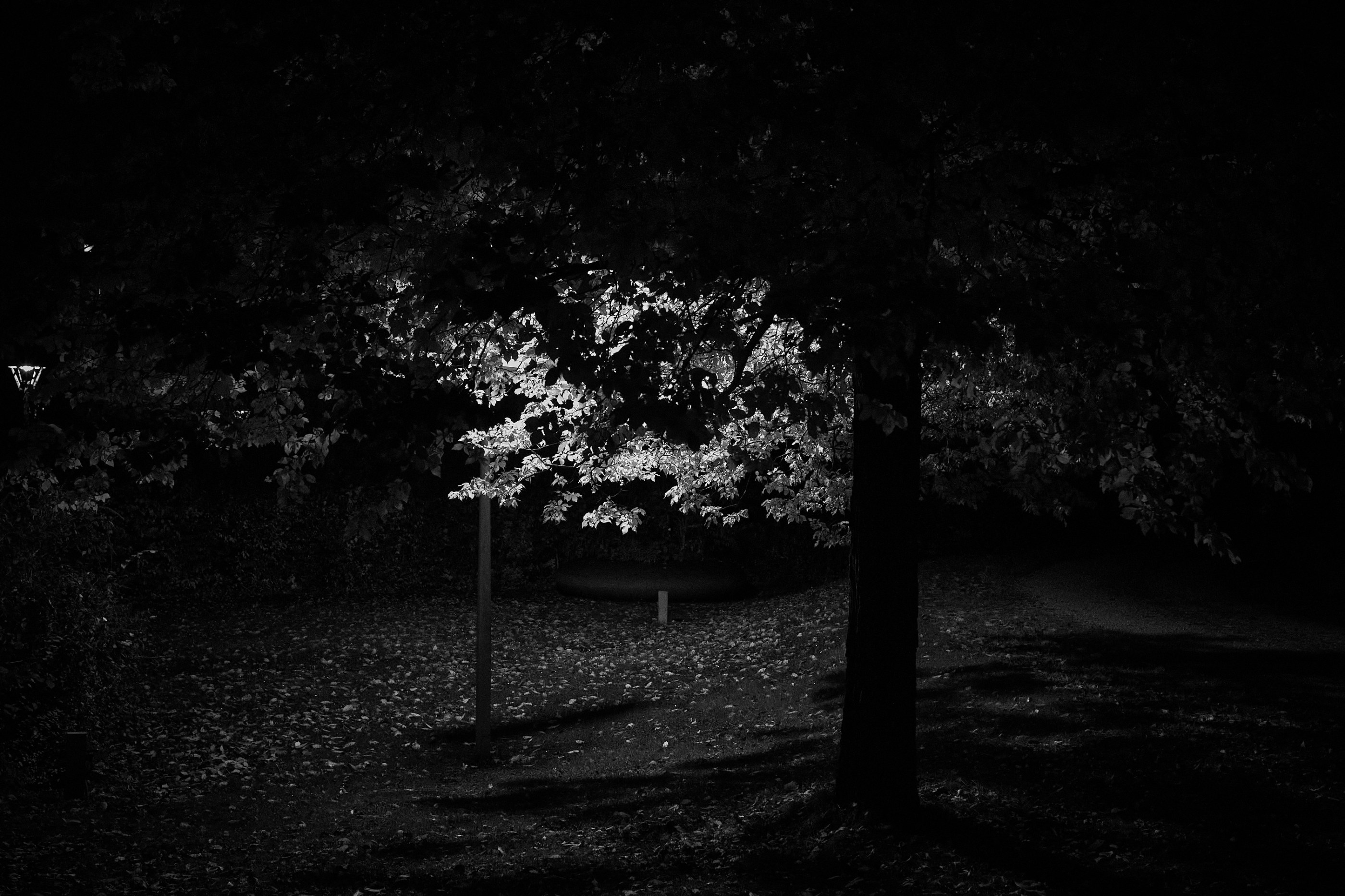 LEICA M11 Monochrom L1002499