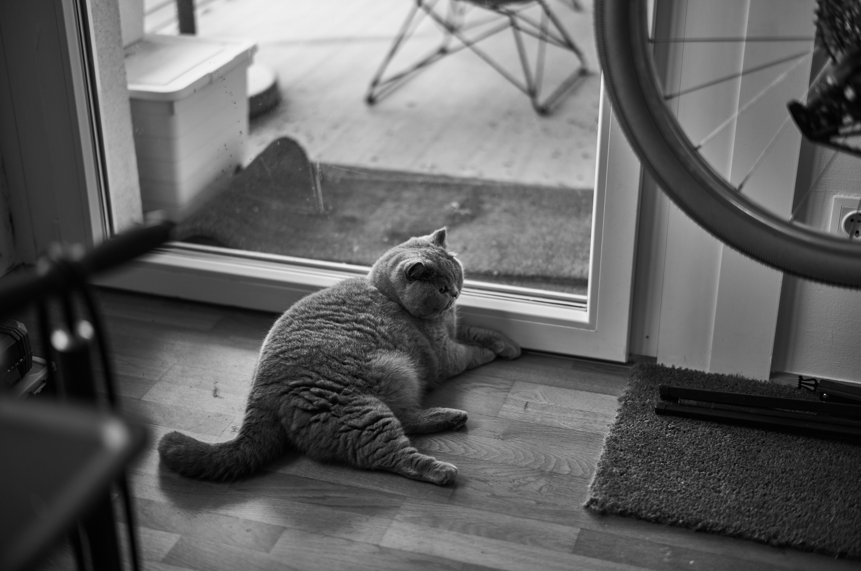 LEICA M11 Monochrom L1002512