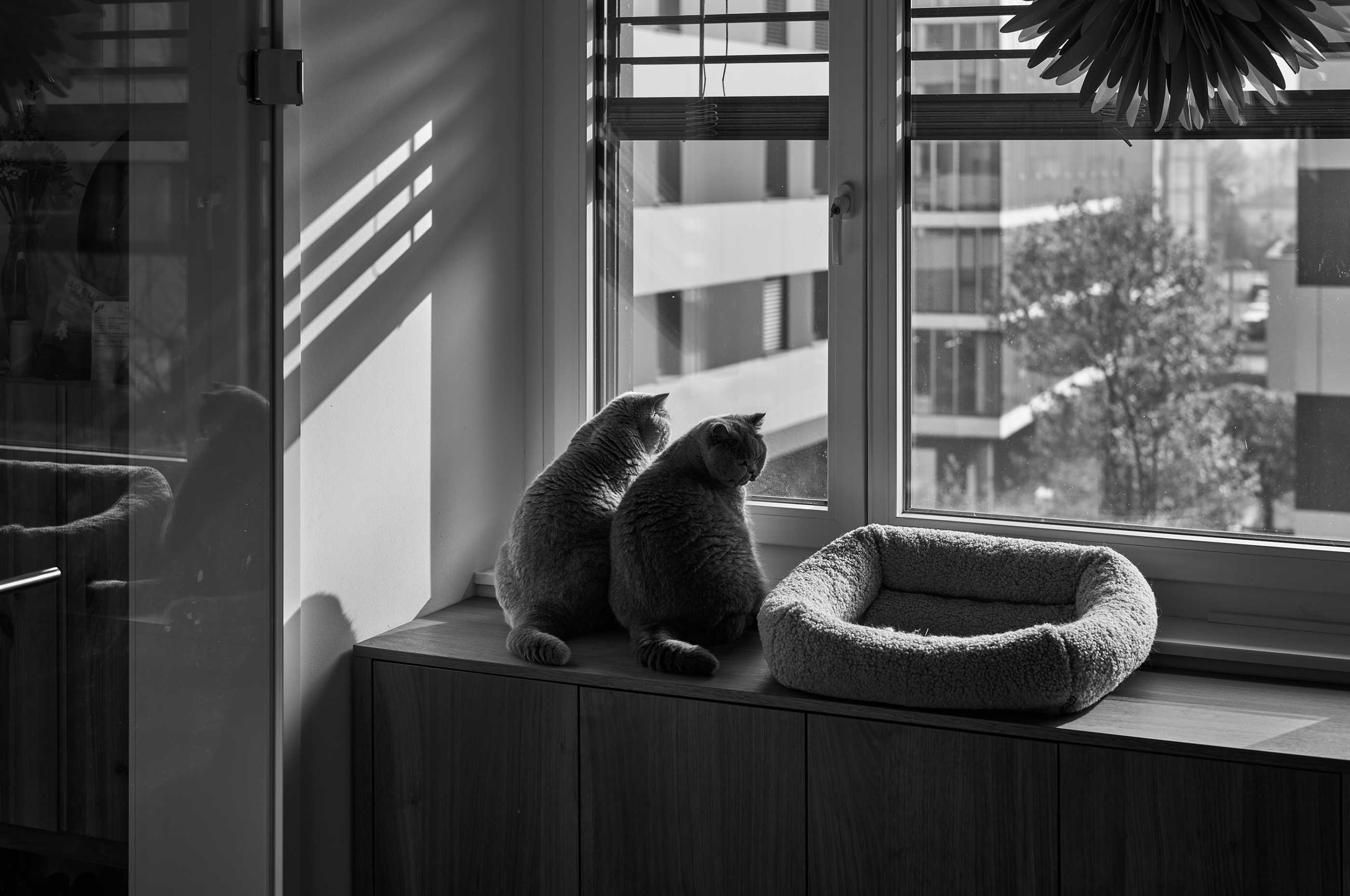LEICA M11 Monochrom L1002513