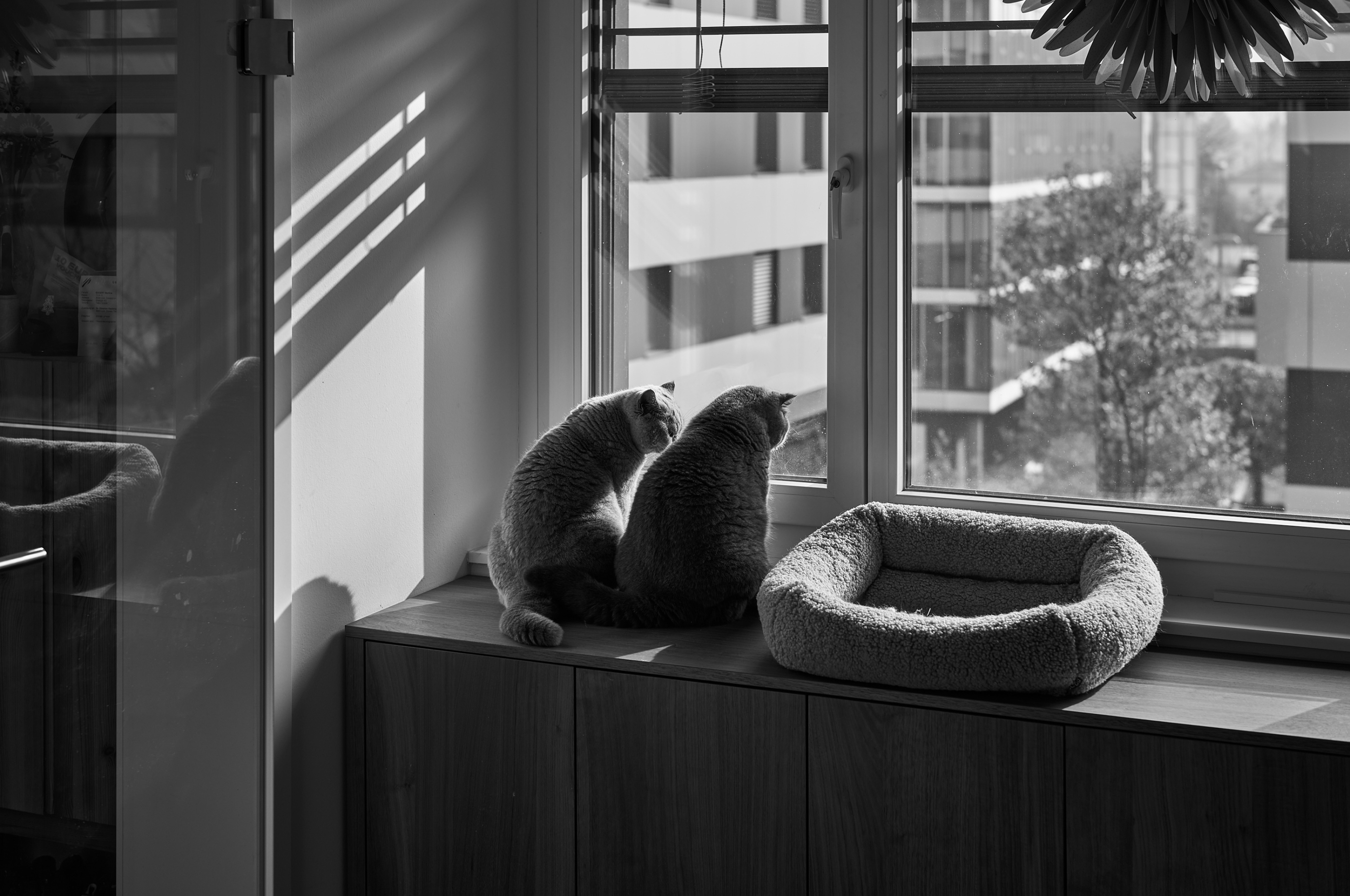 LEICA M11 Monochrom L1002514