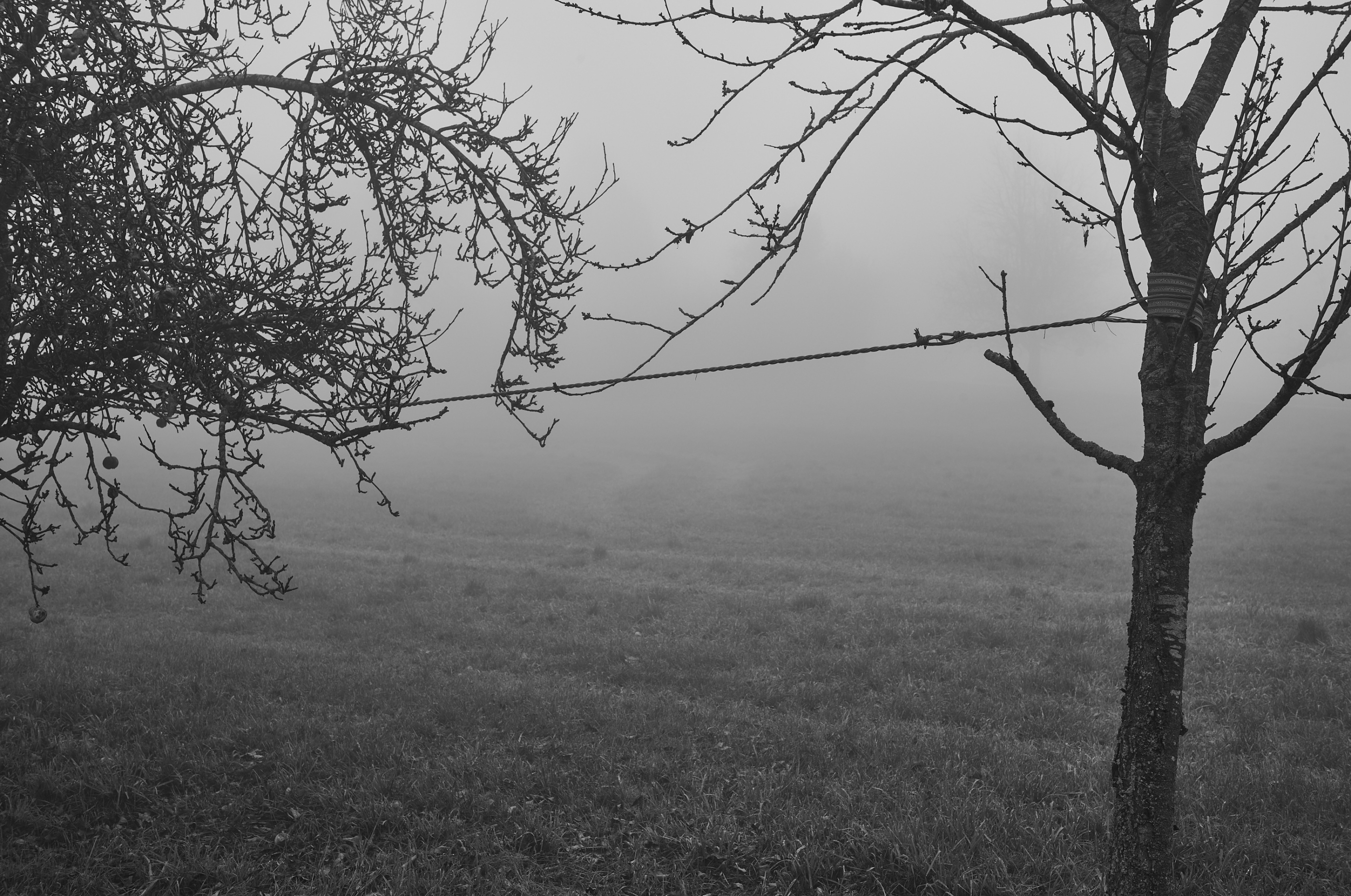 LEICA M11 Monochrom L1002587