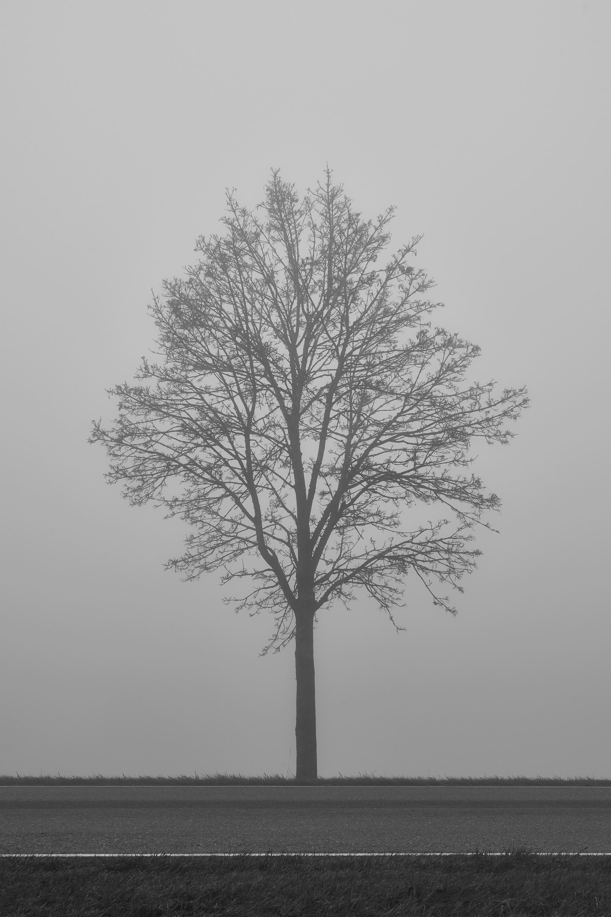LEICA M11 Monochrom L1002593